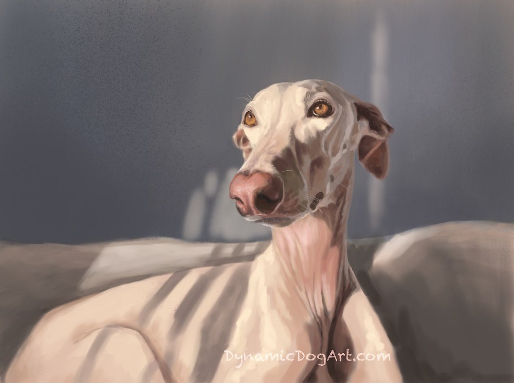 Windy-Day-Greyhound-dog-art-by-Jennifer-Robak — Dynamic Dog Art