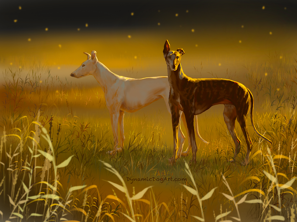 Windy-Day-Greyhound-dog-art-by-Jennifer-Robak — Dynamic Dog Art