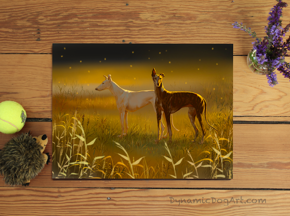 24D362C3-4602-4A6F-AE35-