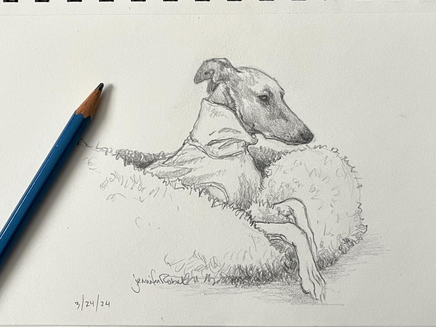 Just a couple of houndie sketches 🐾💕

#dynamicdogart #dogart #pencildrawing #sketch #pencilsketch #dogdrawing #greyhounddrawing #greyhoundart #galgoart #podencoart #whippetart #italiangreyhoundart #iggyart #sighthoundart #lurcherart #dogsketch #gra