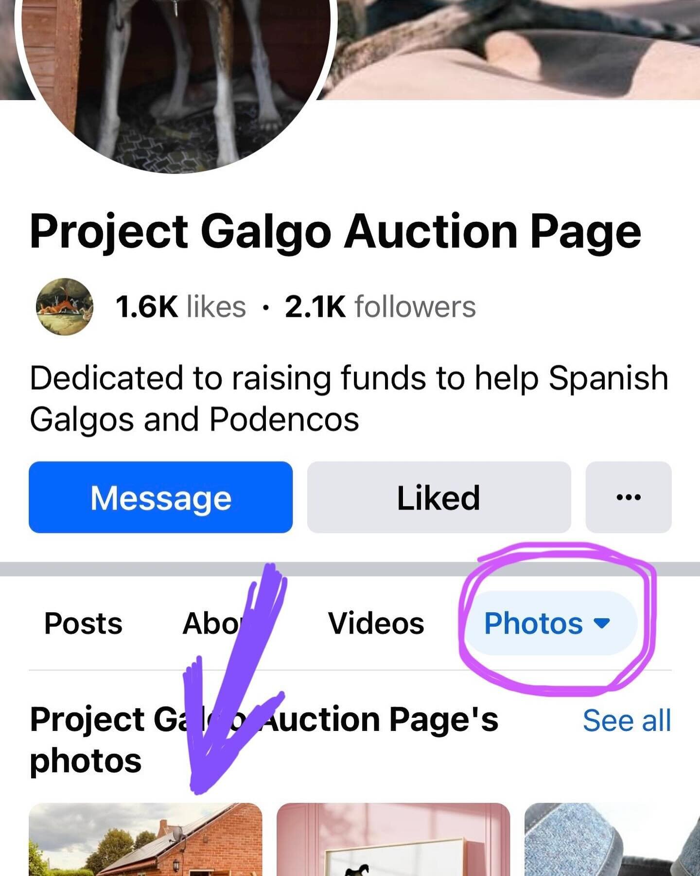 Greetings sighthound lovers!
Project Galgo has a fundraising auction in progress (on Facebook), and the items that are available for bidding are amazing!

Two of my prints are up for auction, but you should really check out the incredible selection f