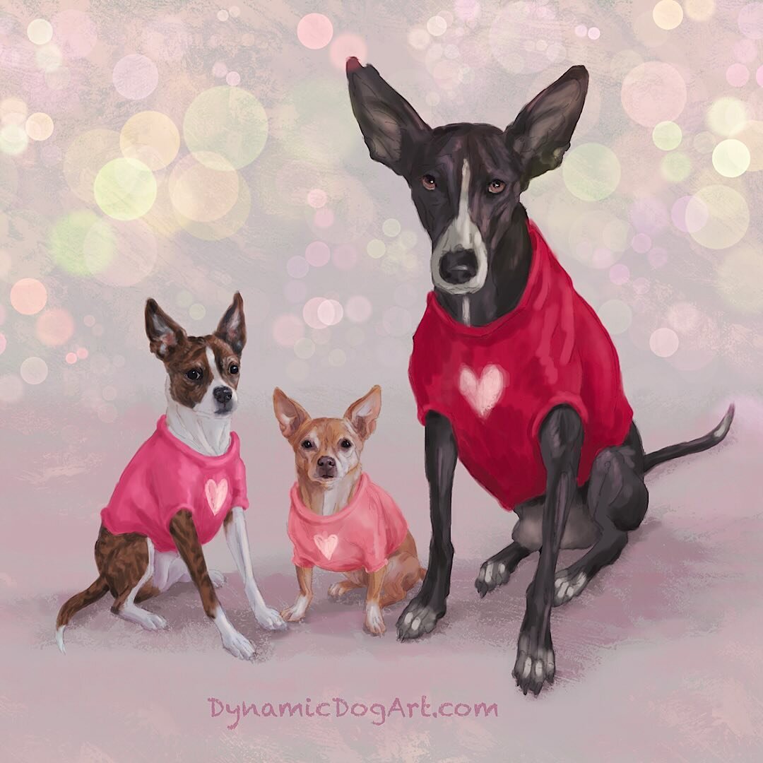 Happy Valentine&rsquo;s Day! 💕
I hope your day is filled with love, and precious moments to remember for years to come 💖

#dynamicdogart #dogart #noai #procreate #podencoart #podencolove #chihuahuaart #chihuahualove #bostonterrierart #bostonterrier