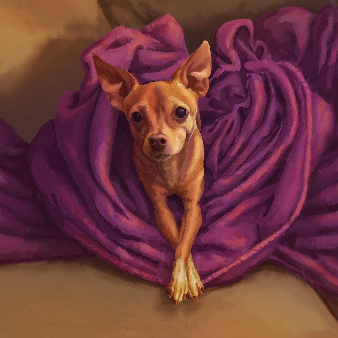 Just waiting for some Valentine&rsquo;s Day treats! 💖

#dynamicdogart #dogart #chihuahualove #chihuahuaart #littlestvalentine #mylittlevalentine #littledogbigheart #chihuahua #dogpainting #chihuahuapainting #chihuahuavalentine