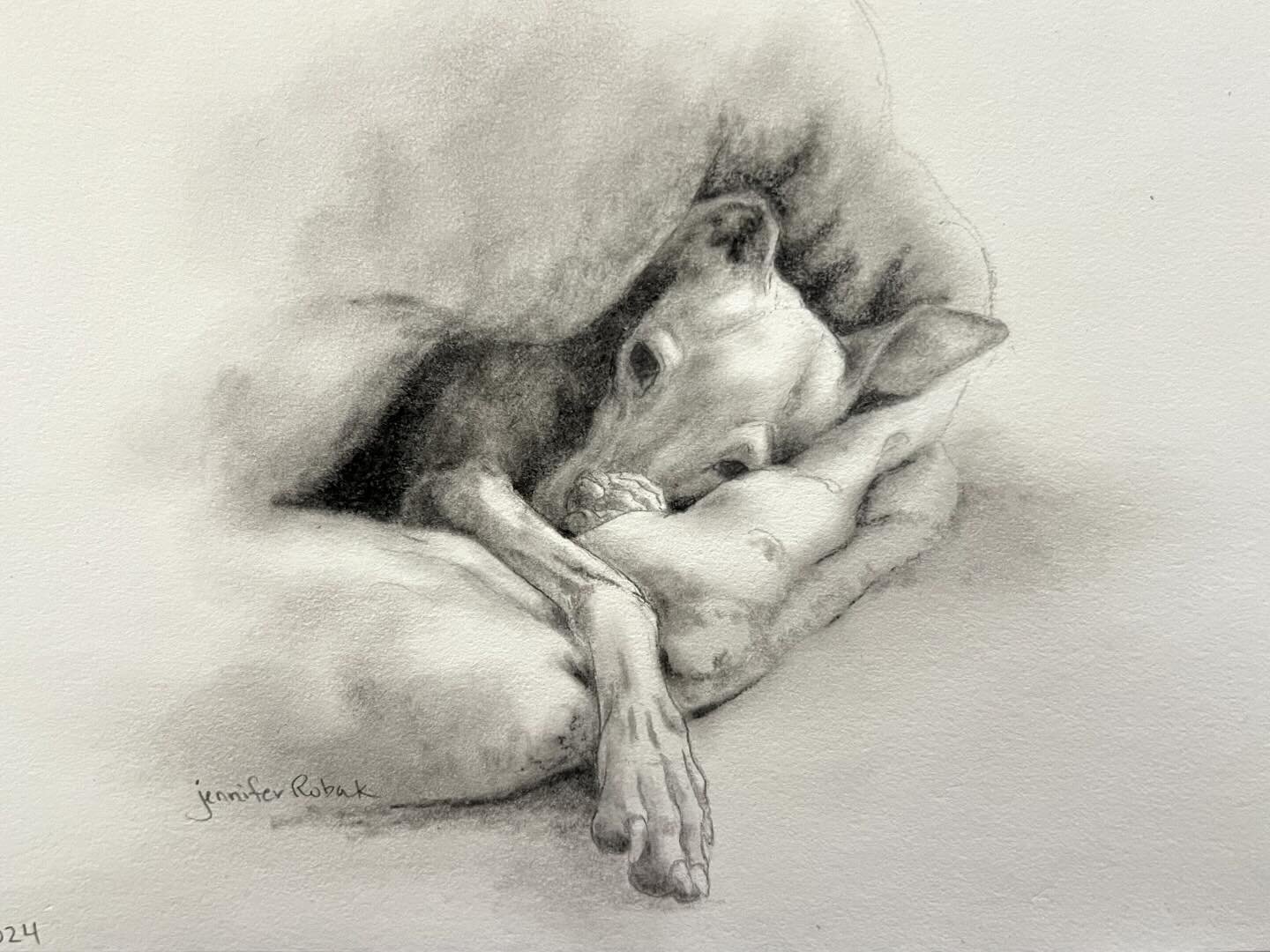 Art in progress 🐾💕
The progression of a sleepy Italian Greyhound drawing, done in pencil and charcoal. 
Reference from: @lea_and_mia_iggy 

The latest newsletter is out. If you don&rsquo;t subscribe and would like to check it out, you can find it a
