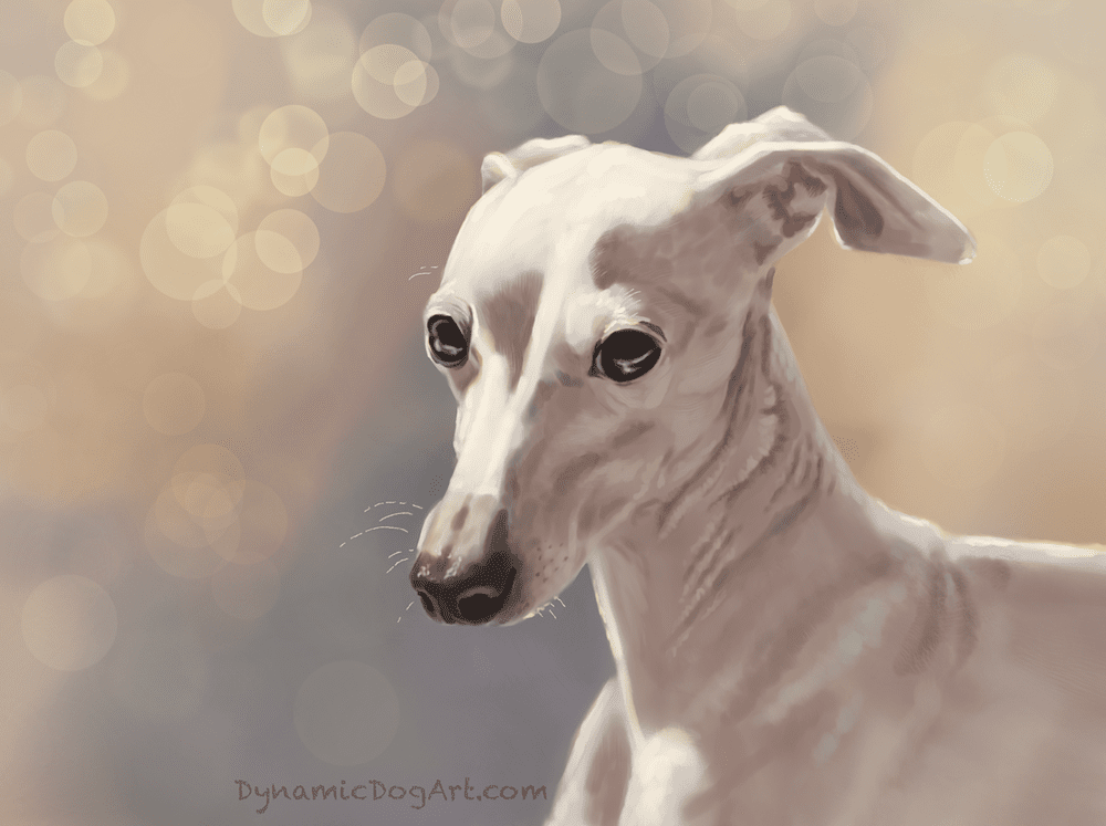 Sunset Run dog art print by Jennifer Robak — Dynamic Dog Art
