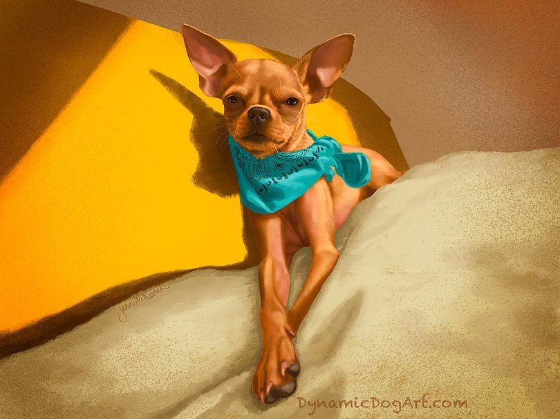 Garbonzo, basking in the sunshine!
Painted in Procreate. 

March has been a really rough month. 
One of my dogs, my little old man, has been very sick. 
He was hospitalized for 5 days, and had continuing treatment at home. 
For the first 10 days, he 