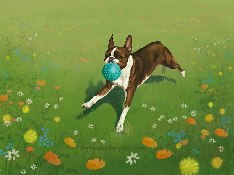 Artistically I have soooo little to show for the month of June!
But I do have this digital painting of a happy, playful Boston Terrier! 🎾🐾💖🌸

I hope your June has been fabulous and plans for July even better 🥰
The June newsletter is out, if you 