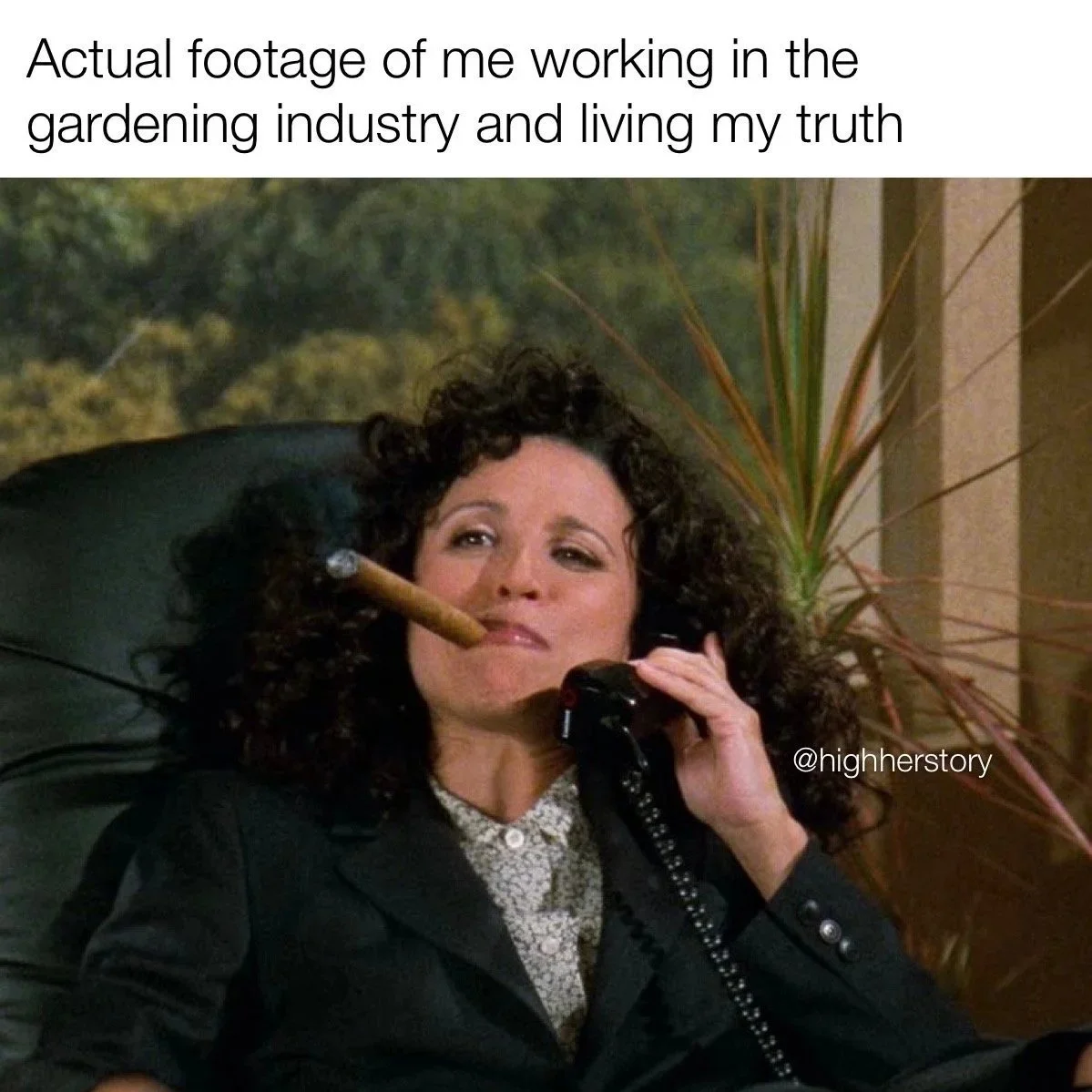 Hilarious Weed Memes for Stoner Girls: Elevate Your Mood with These Funny Stoner Girl Memes