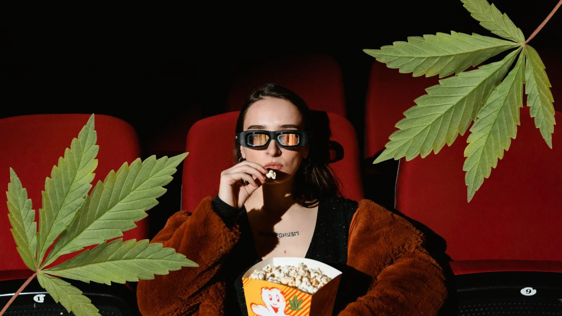 stoner movies, stoner comedies, weed comedy movie