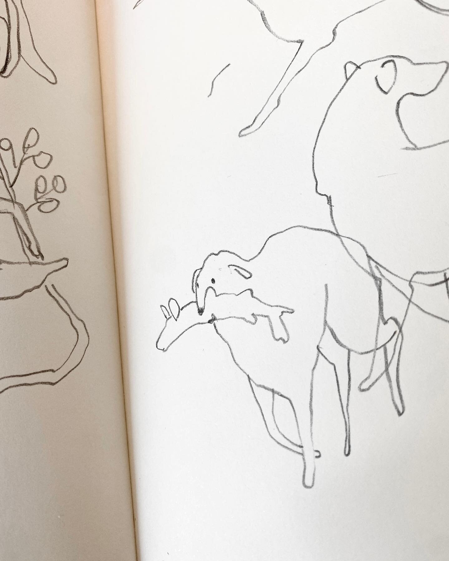 Wobbly lined dog carrying a fish. Titling my sketches is a joy sometimes. 

#illustration #illustrator #art #artist #drawing #drawings #sketch #sketchbook