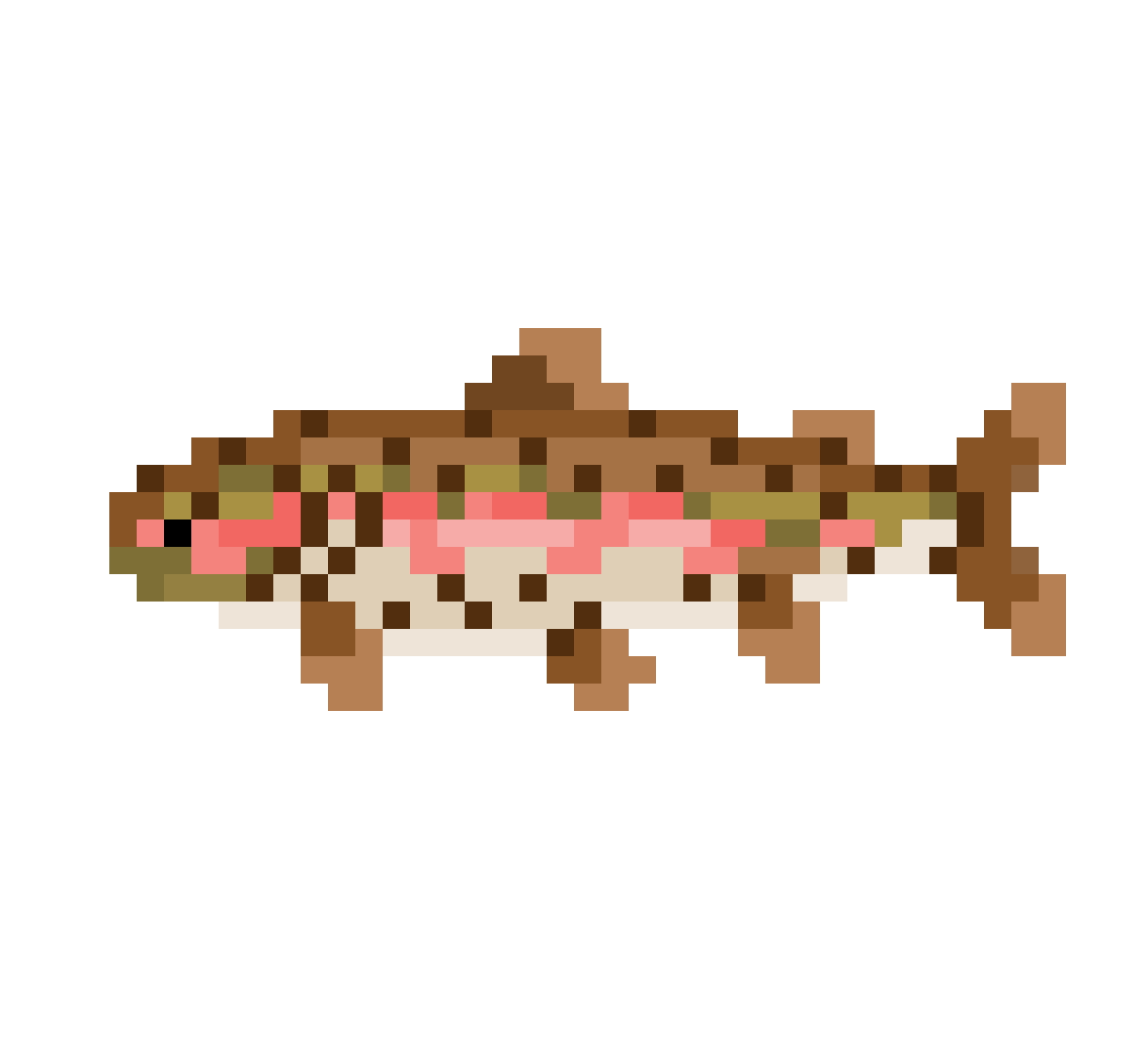 Rainbow trout.gif