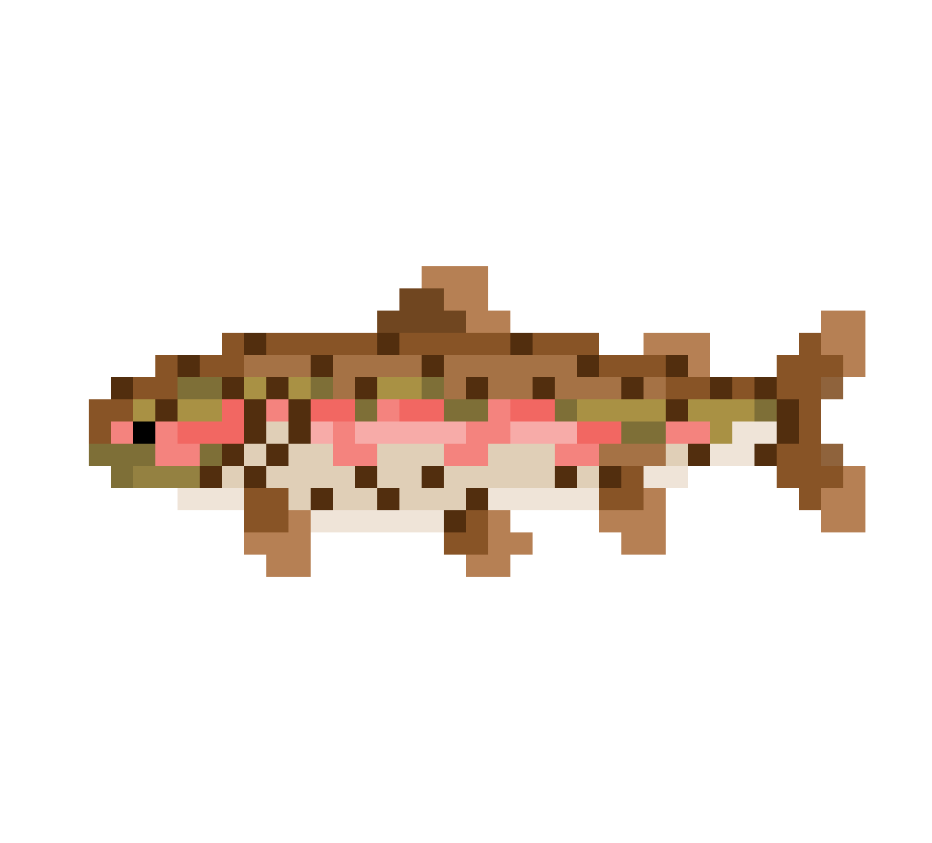 Rainbow trout.png