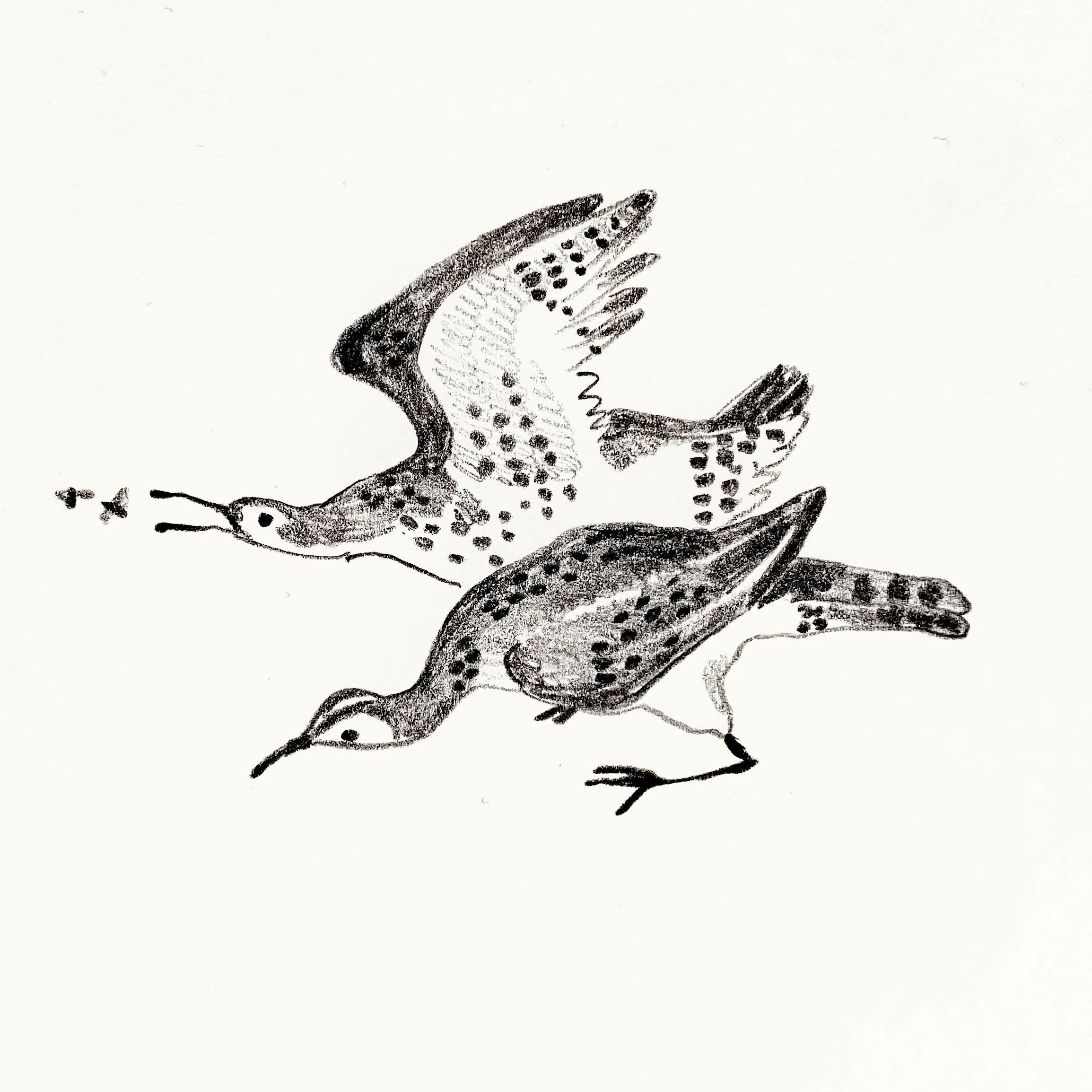 Animal adventures week 2022