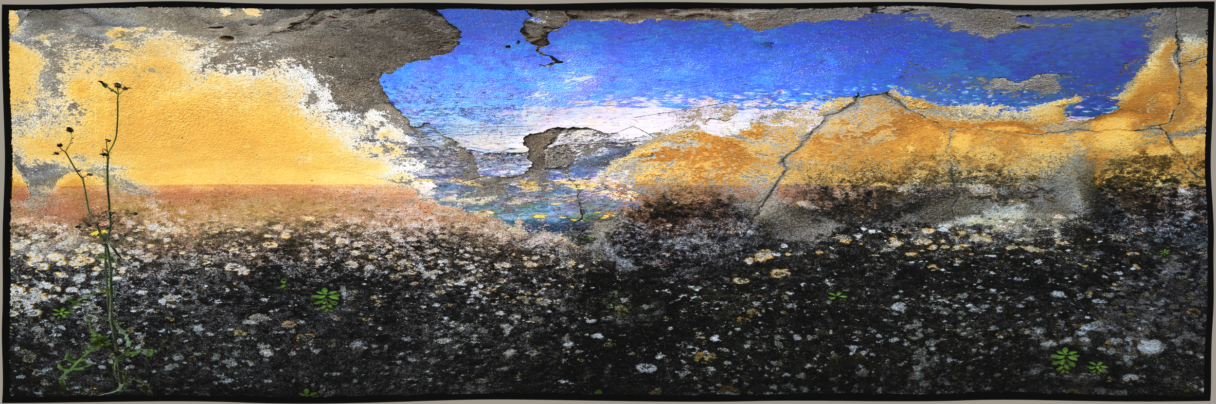 "Tequila Sunrise"   2026
60" x 20" archival pigment print