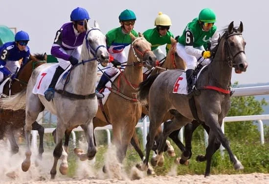 SPORTS EVENTS