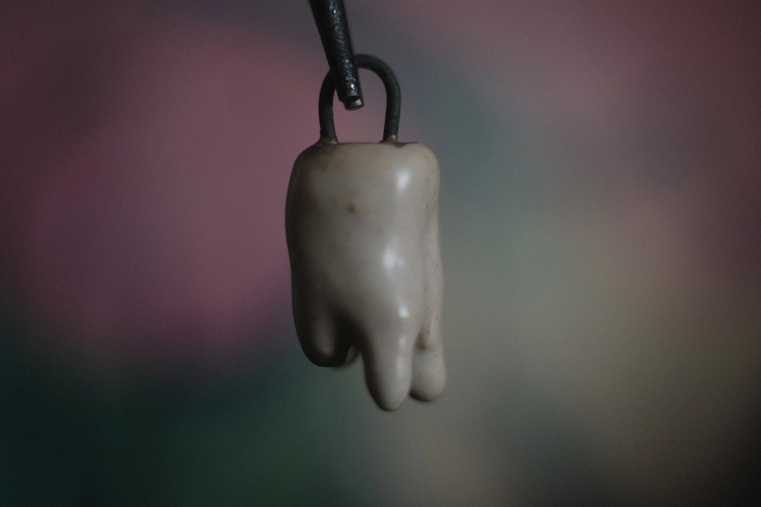 DSCF3809.JPG
