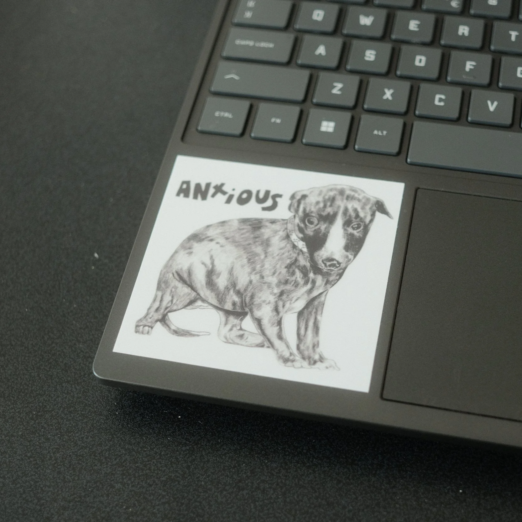 DSCF6170.png