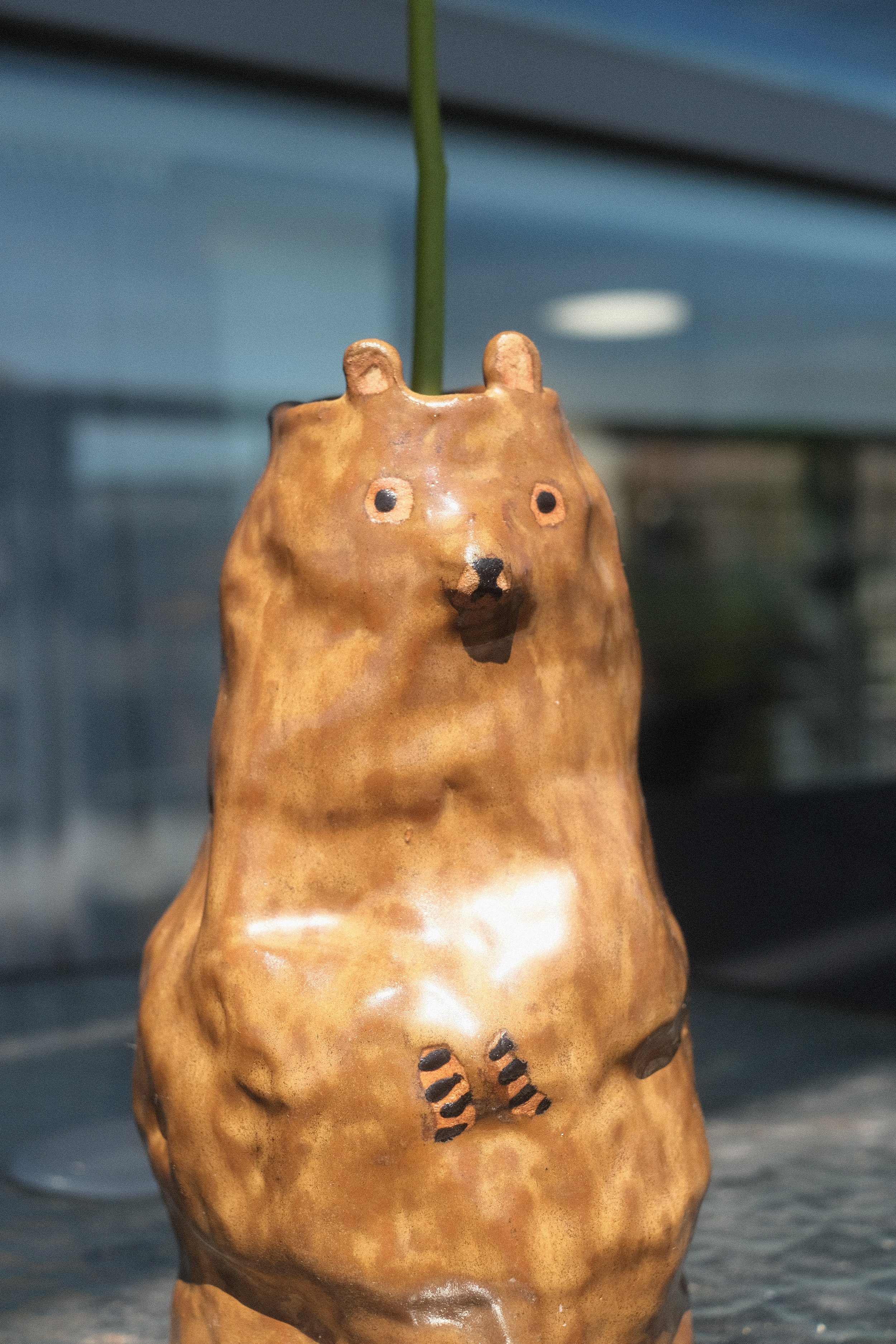 DSCF6475.JPG