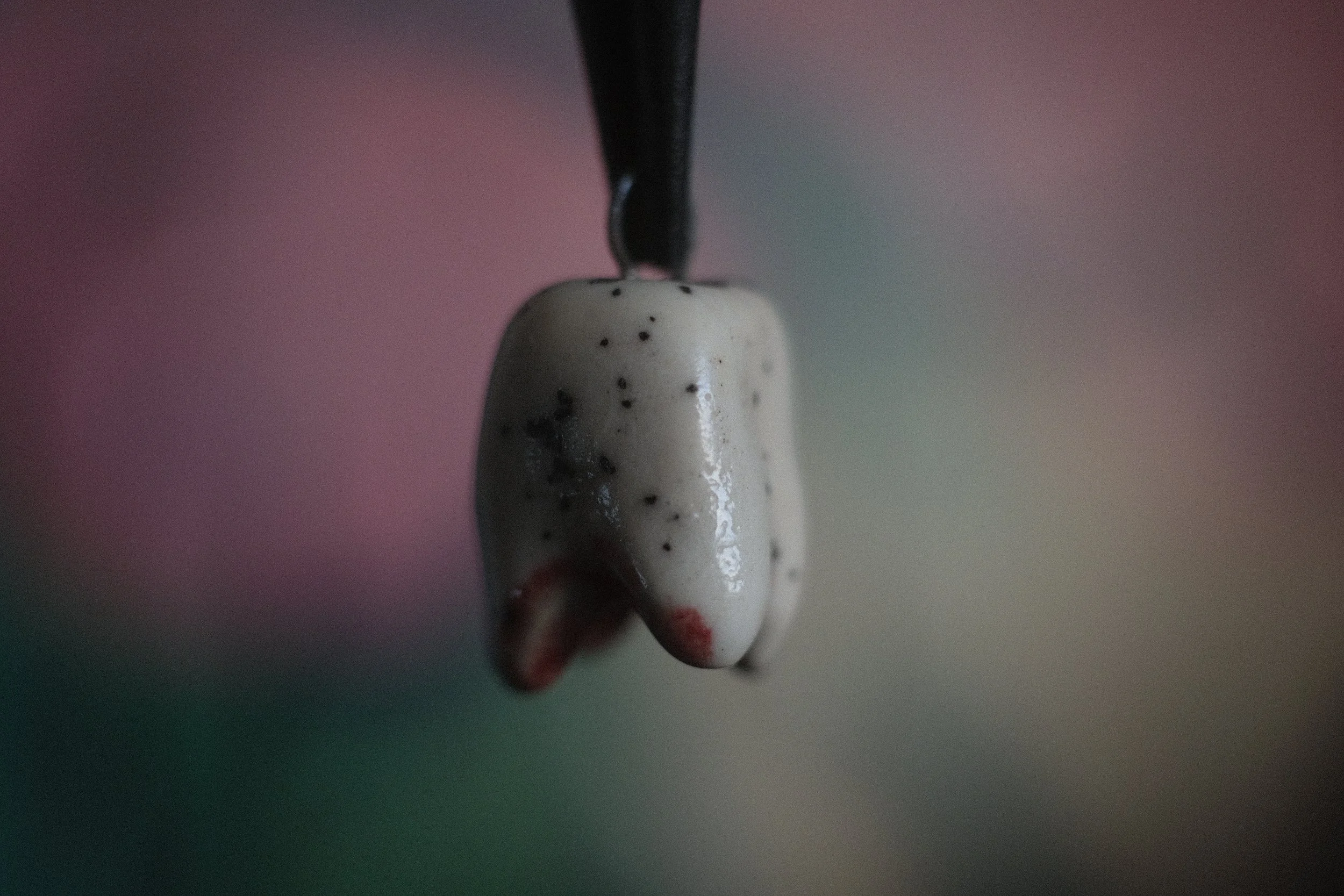 DSCF3807.JPG