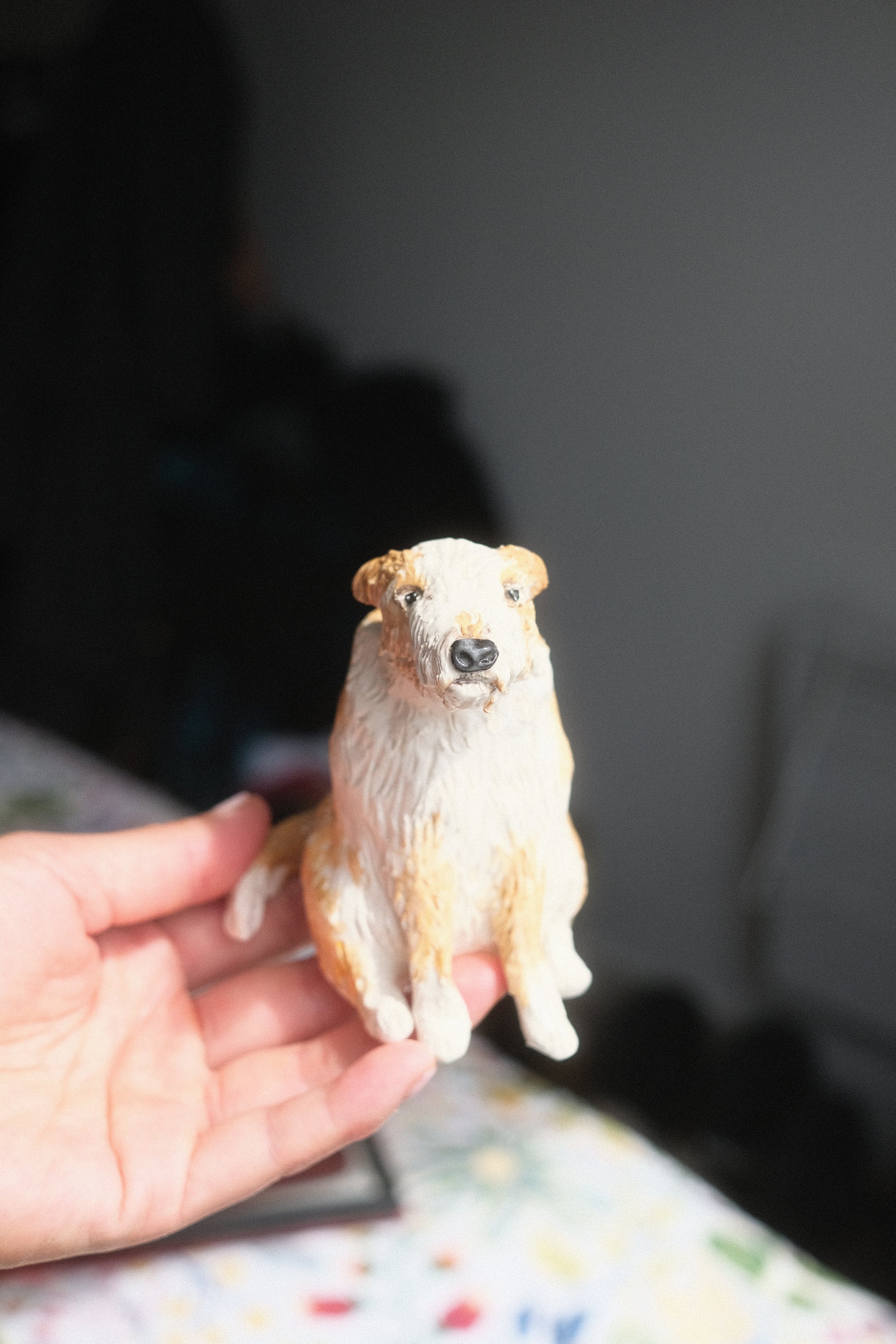 DSCF7036.JPG