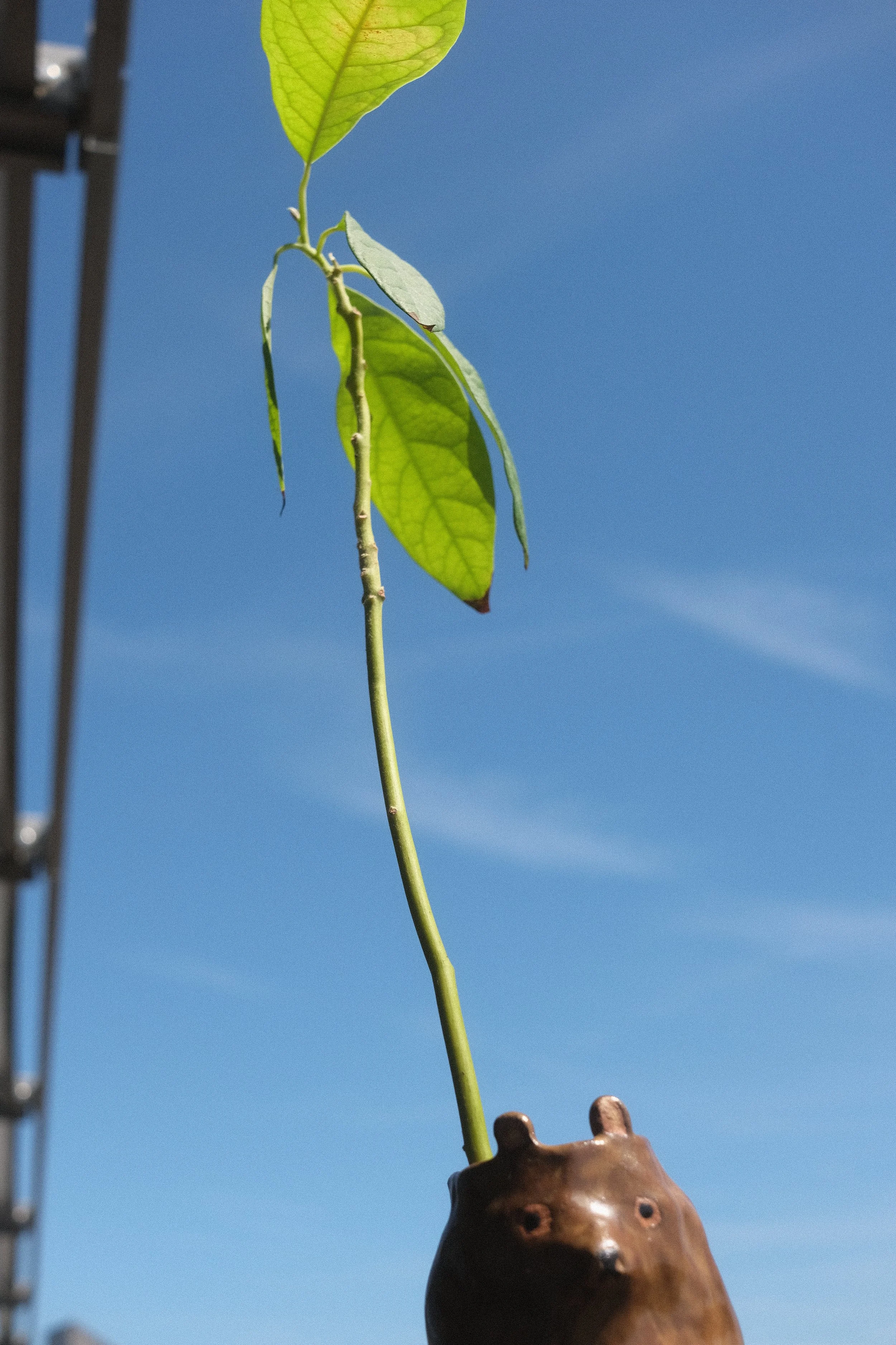 DSCF6463.JPG