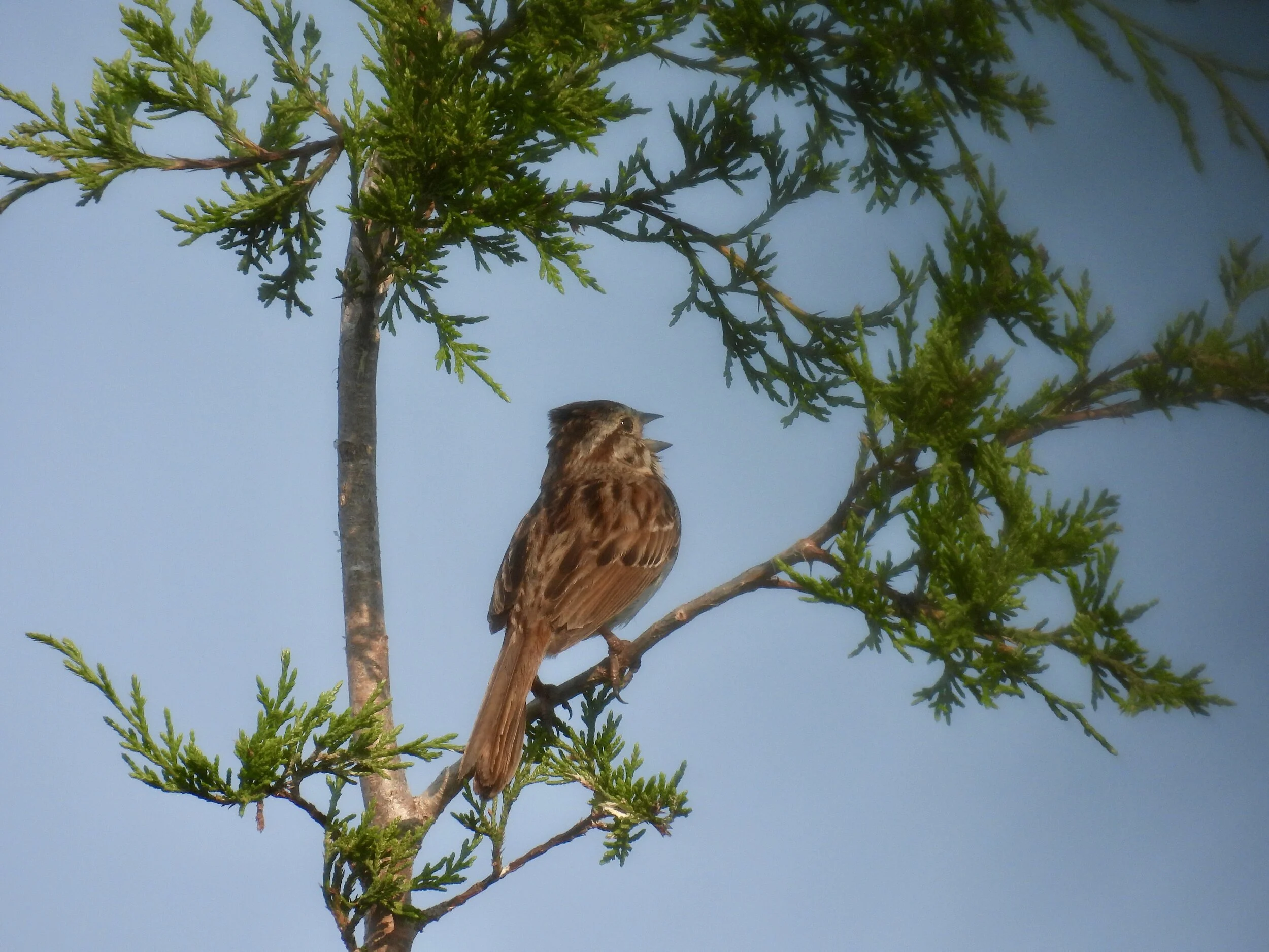 ID - WODU07-06-21-18