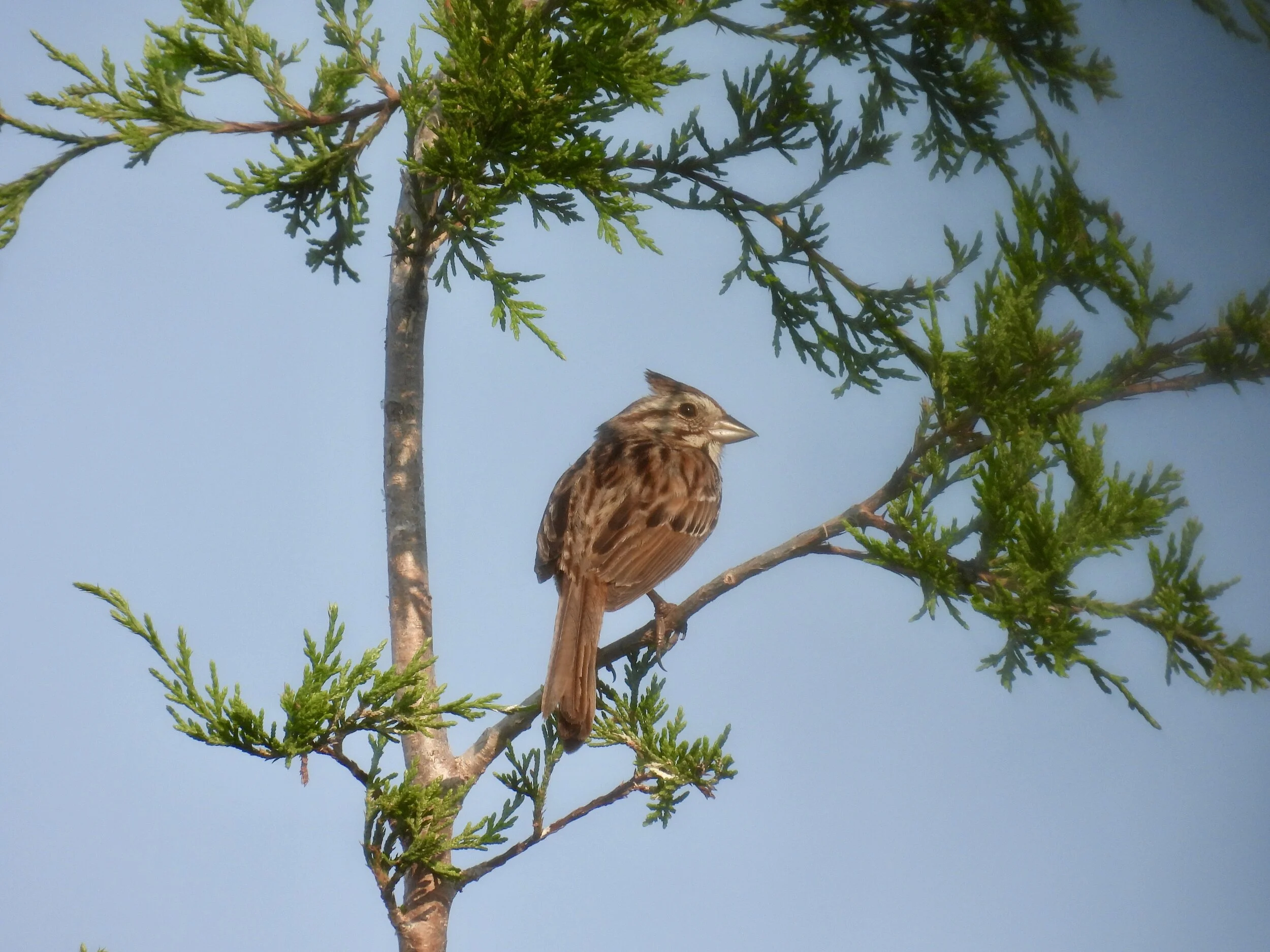 ID - WODU07-06-21-19