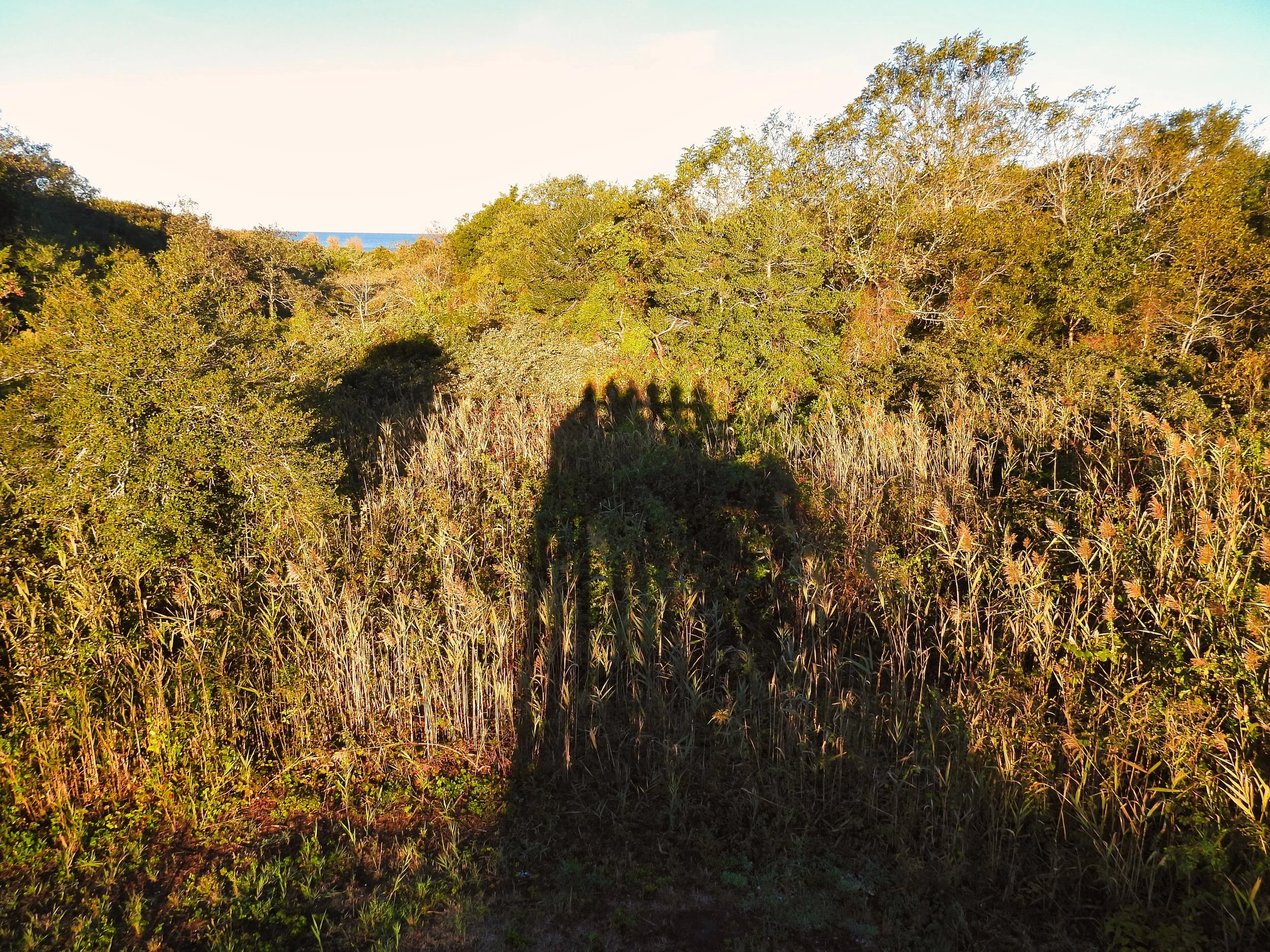 Our reflection in the morning light.
