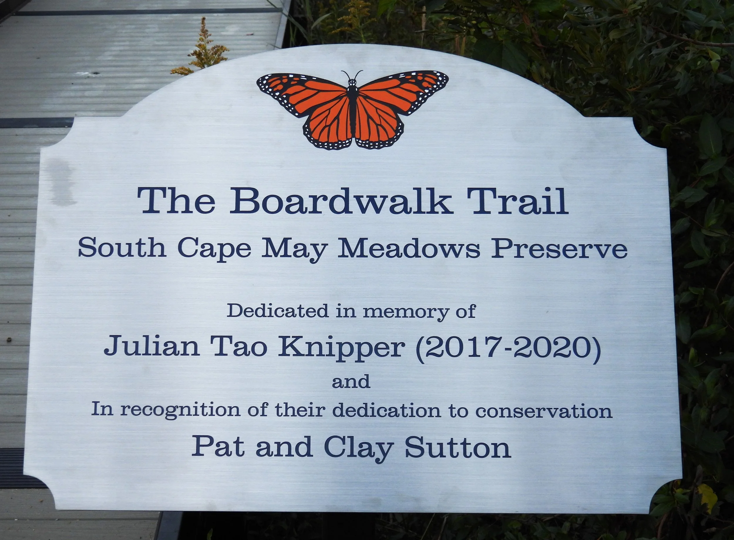 MeadowsBoardwalkSign.jpg