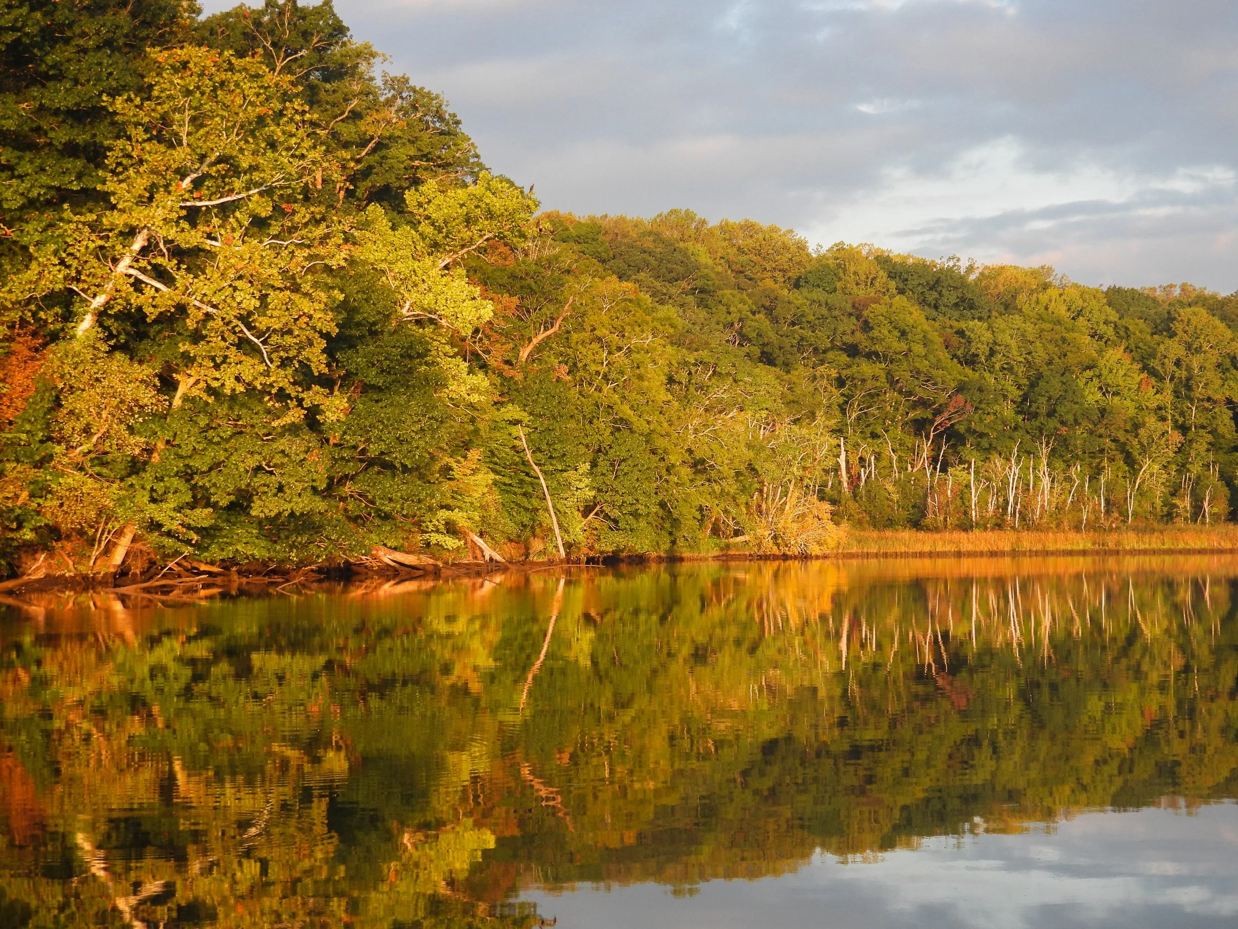 MorningLight4.jpg