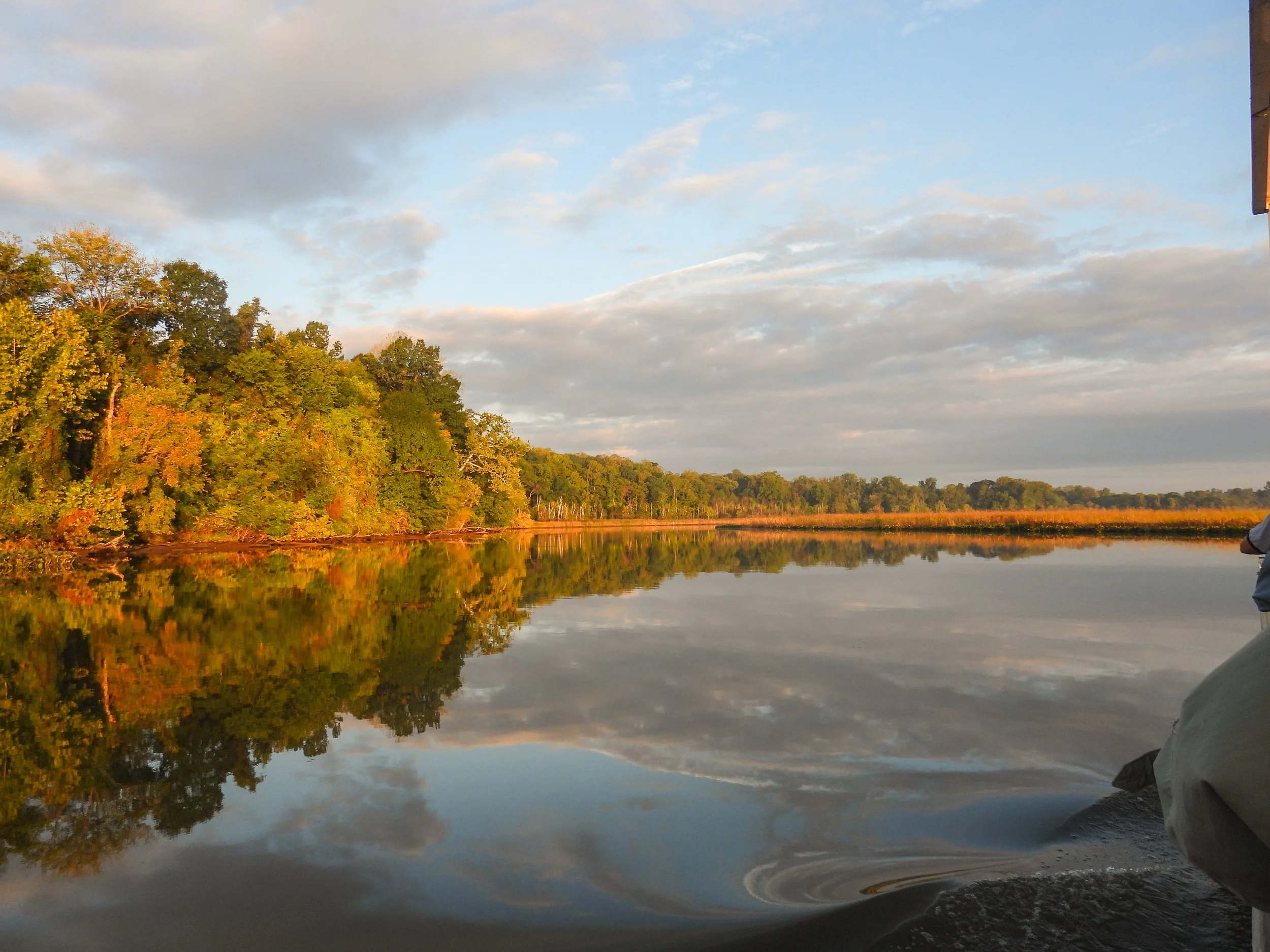 MorningLight2.jpg