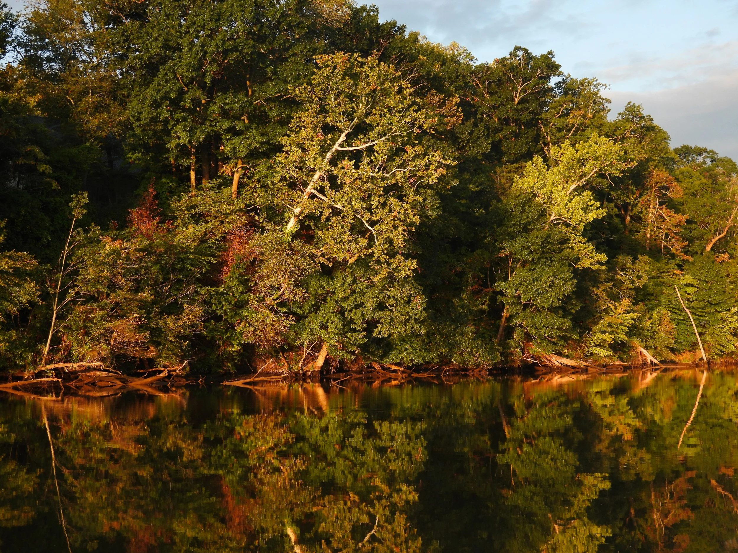 MorningLight5.jpg