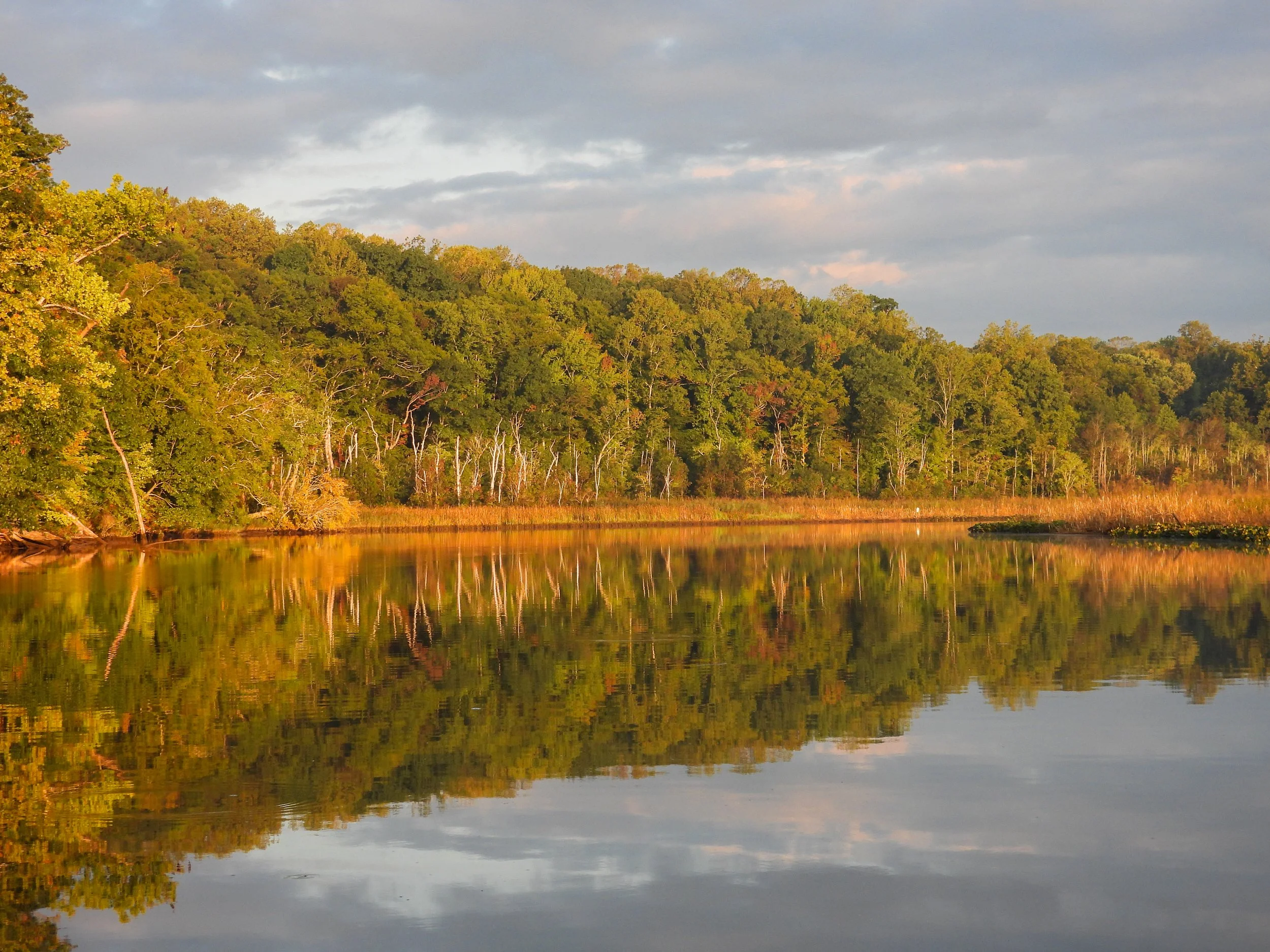 MorningLight3.jpg