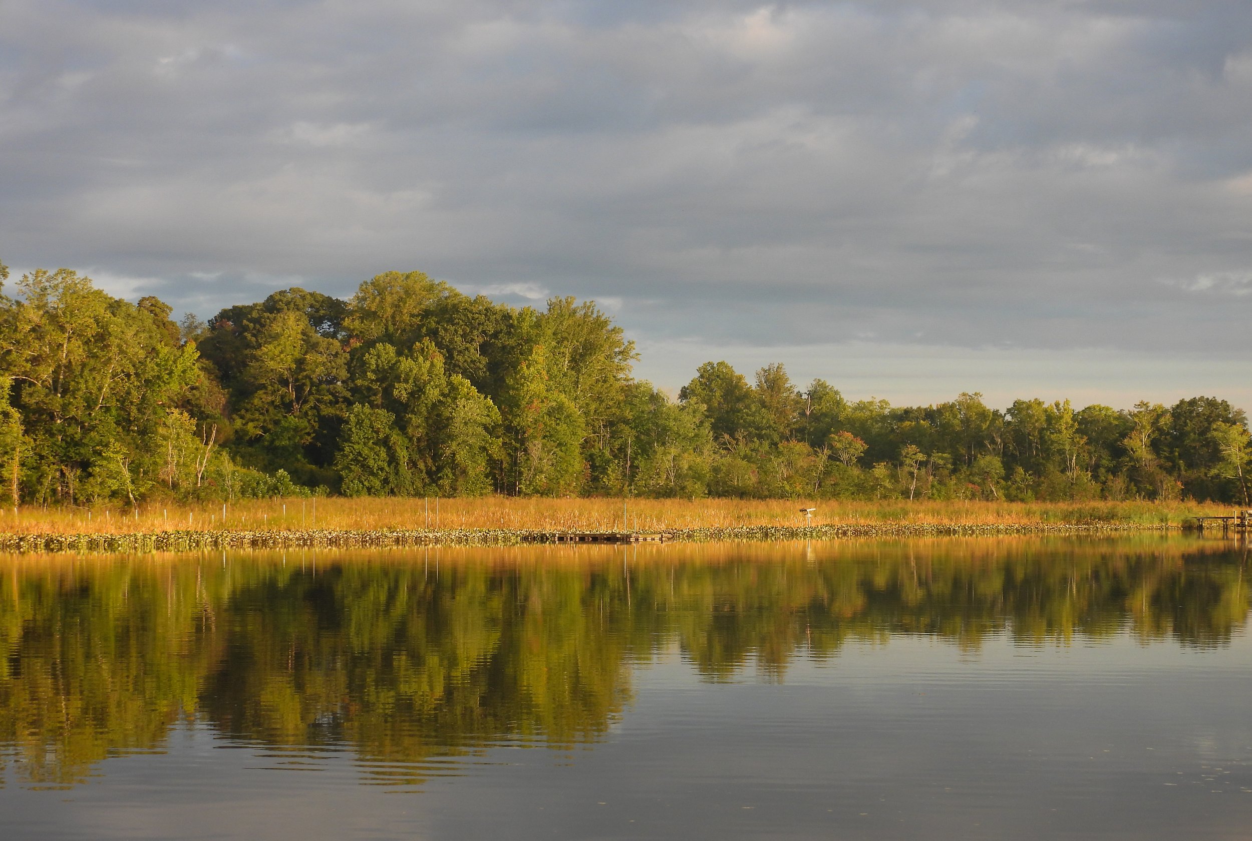 MorningLight6.jpg