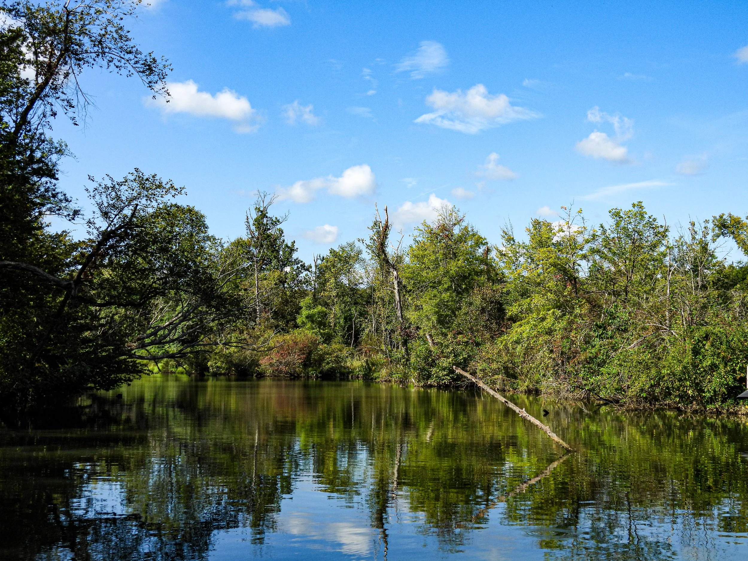 RiverTour8.jpg