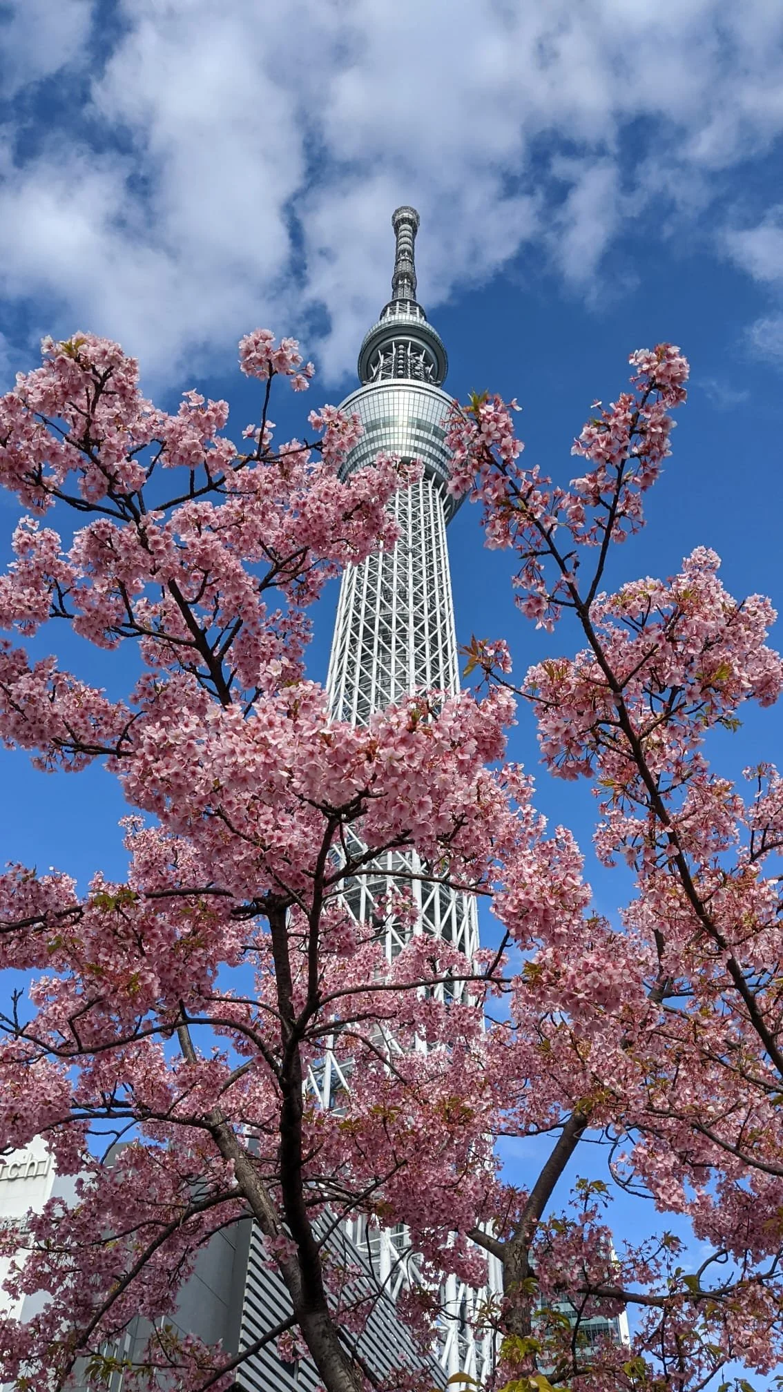 13 : Life After Death