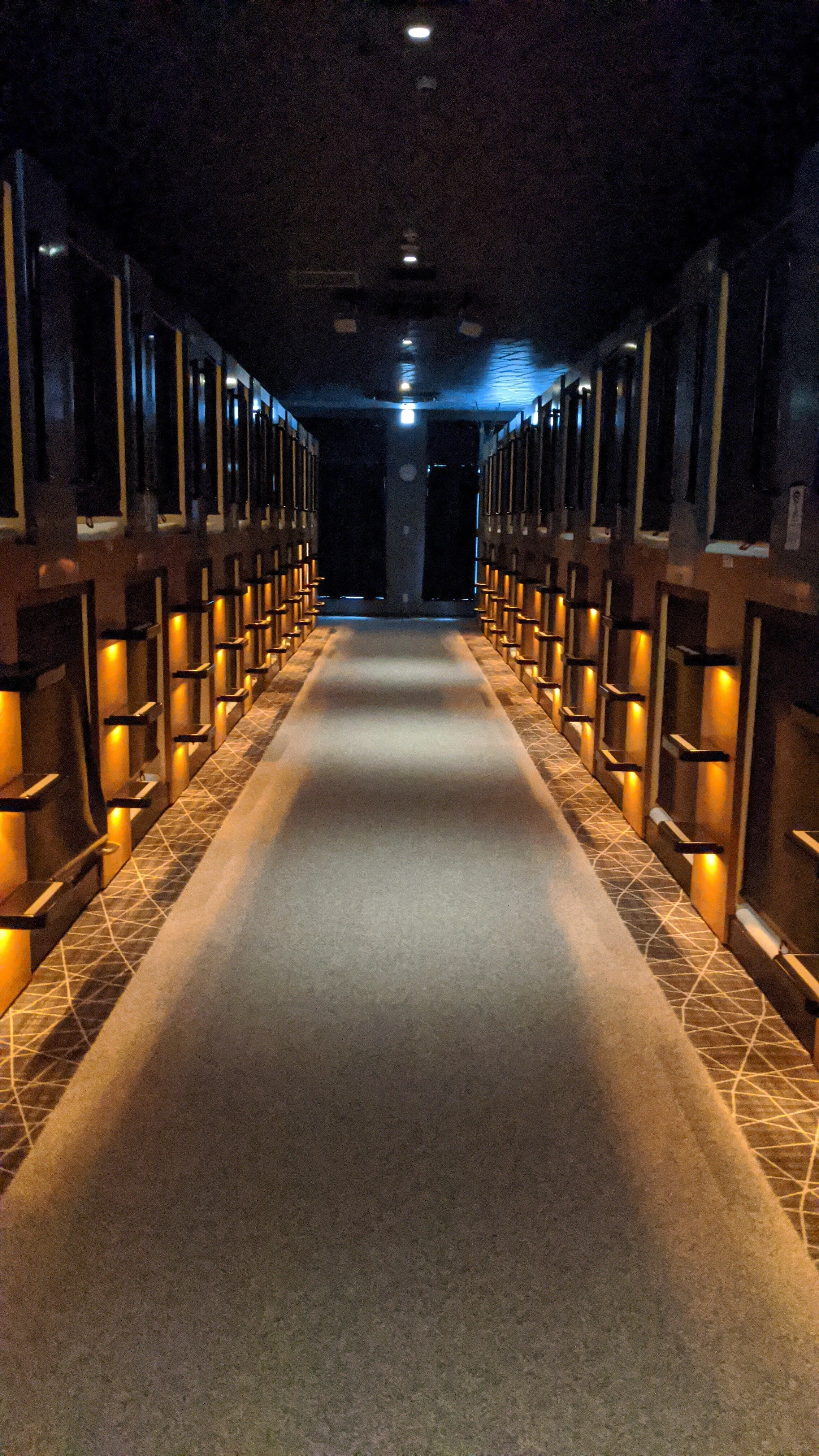 The Plan Japan 2 - Do What Loves You &amp; The Earth will Shake