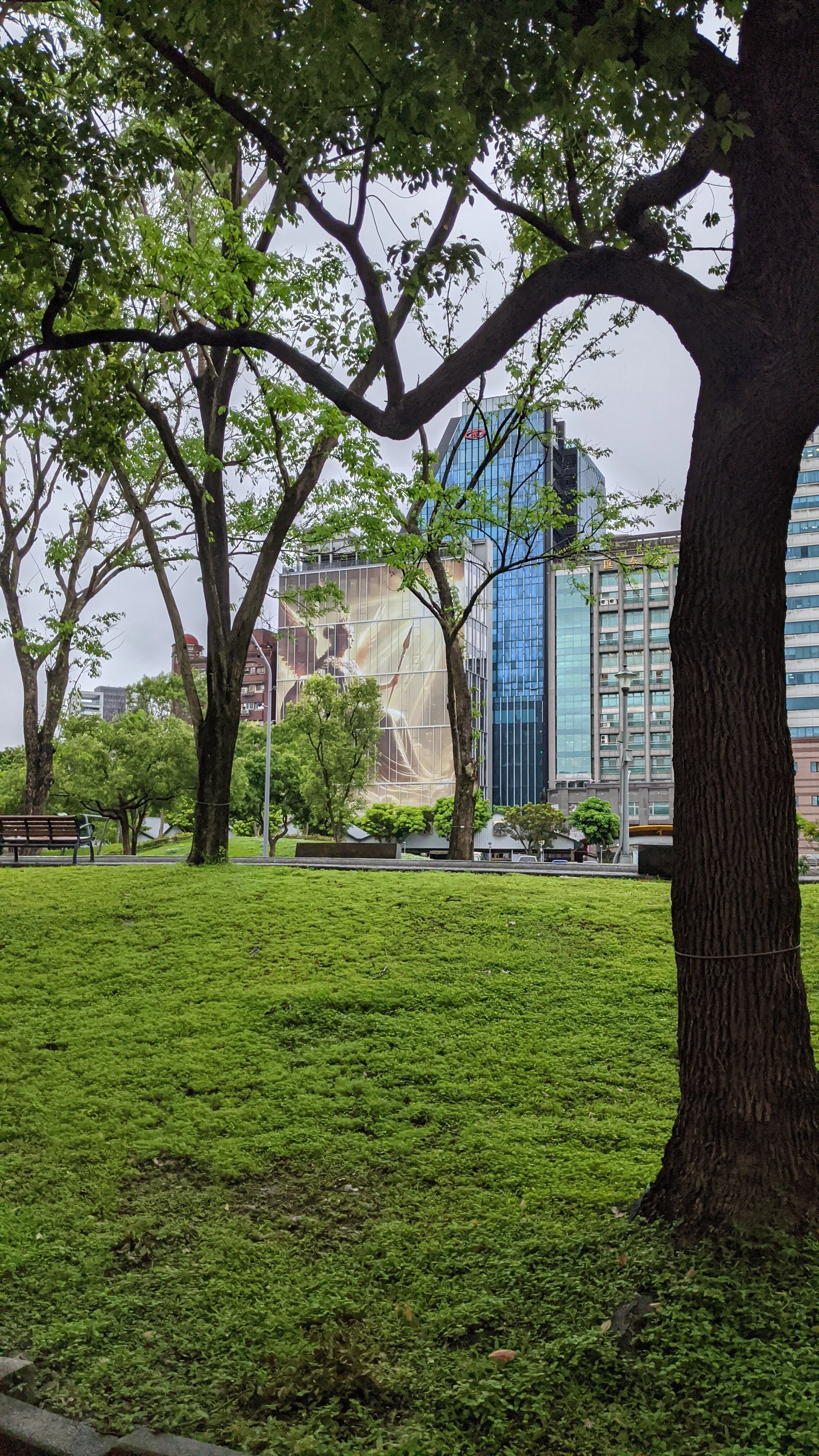 IMG_20250425_151705.jpeg