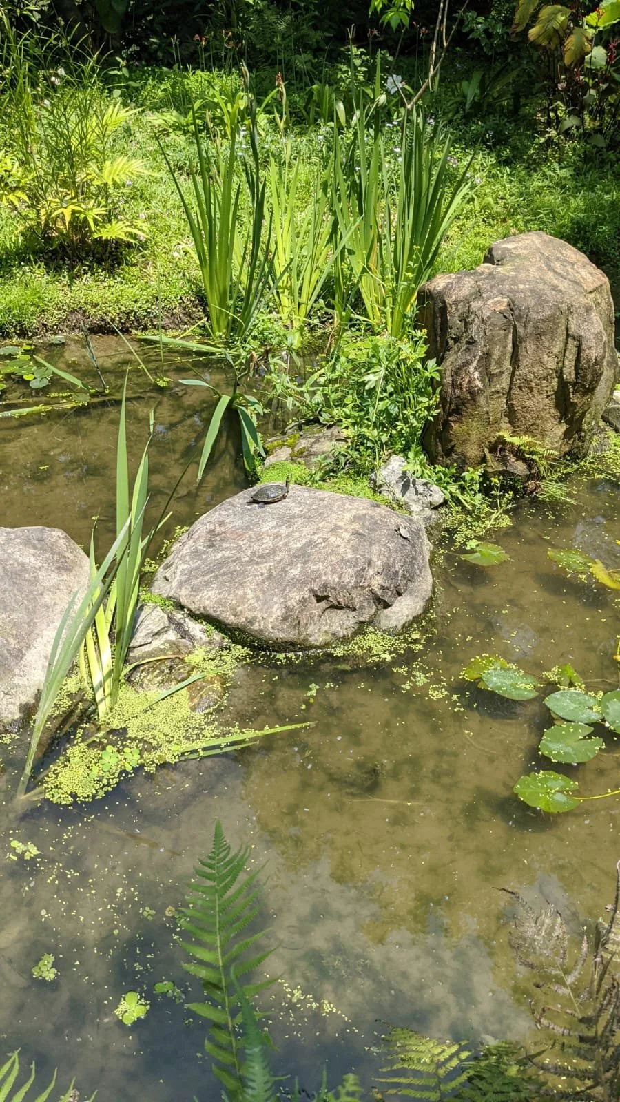 IMG-20250427-WA0027.jpeg