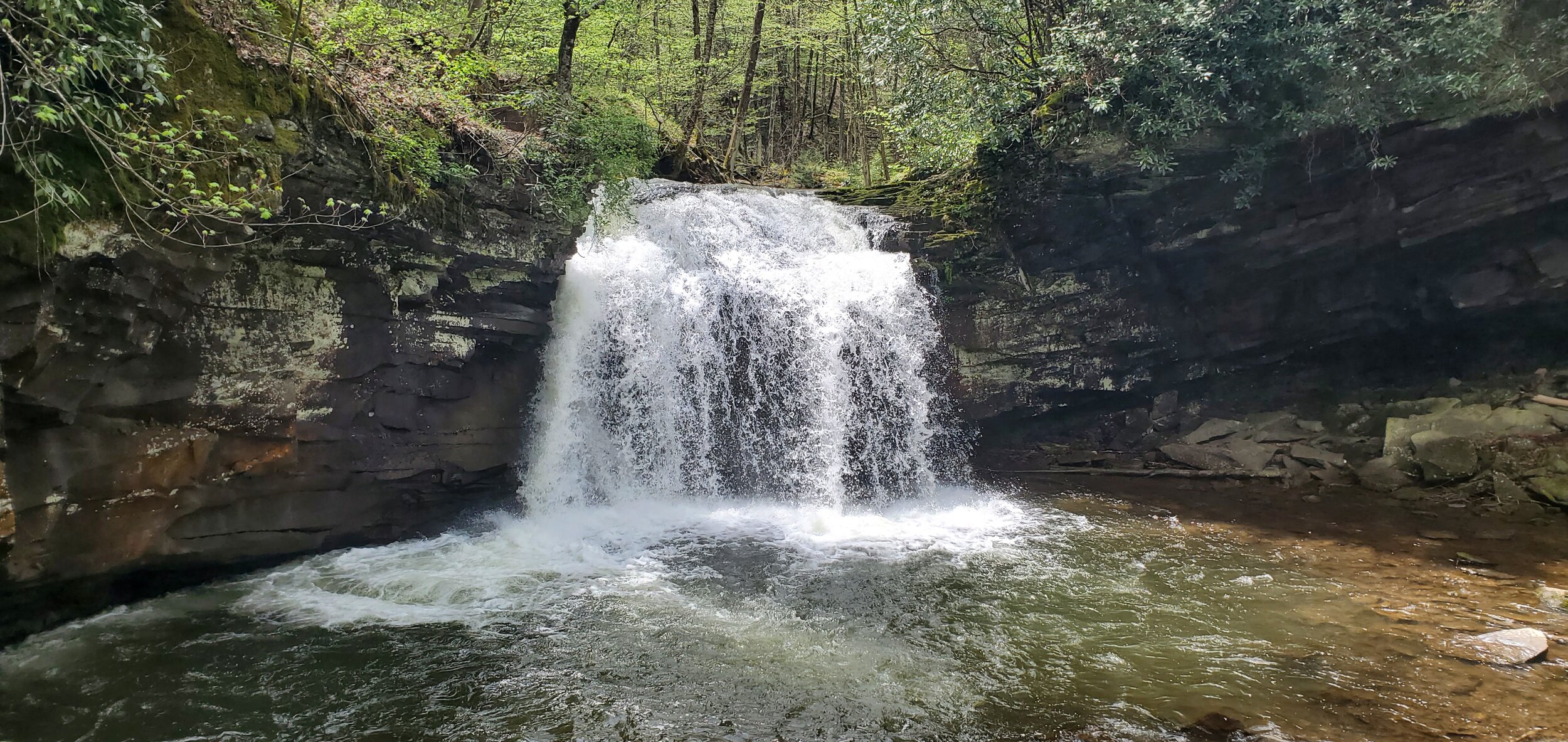 20200523_114354.jpg