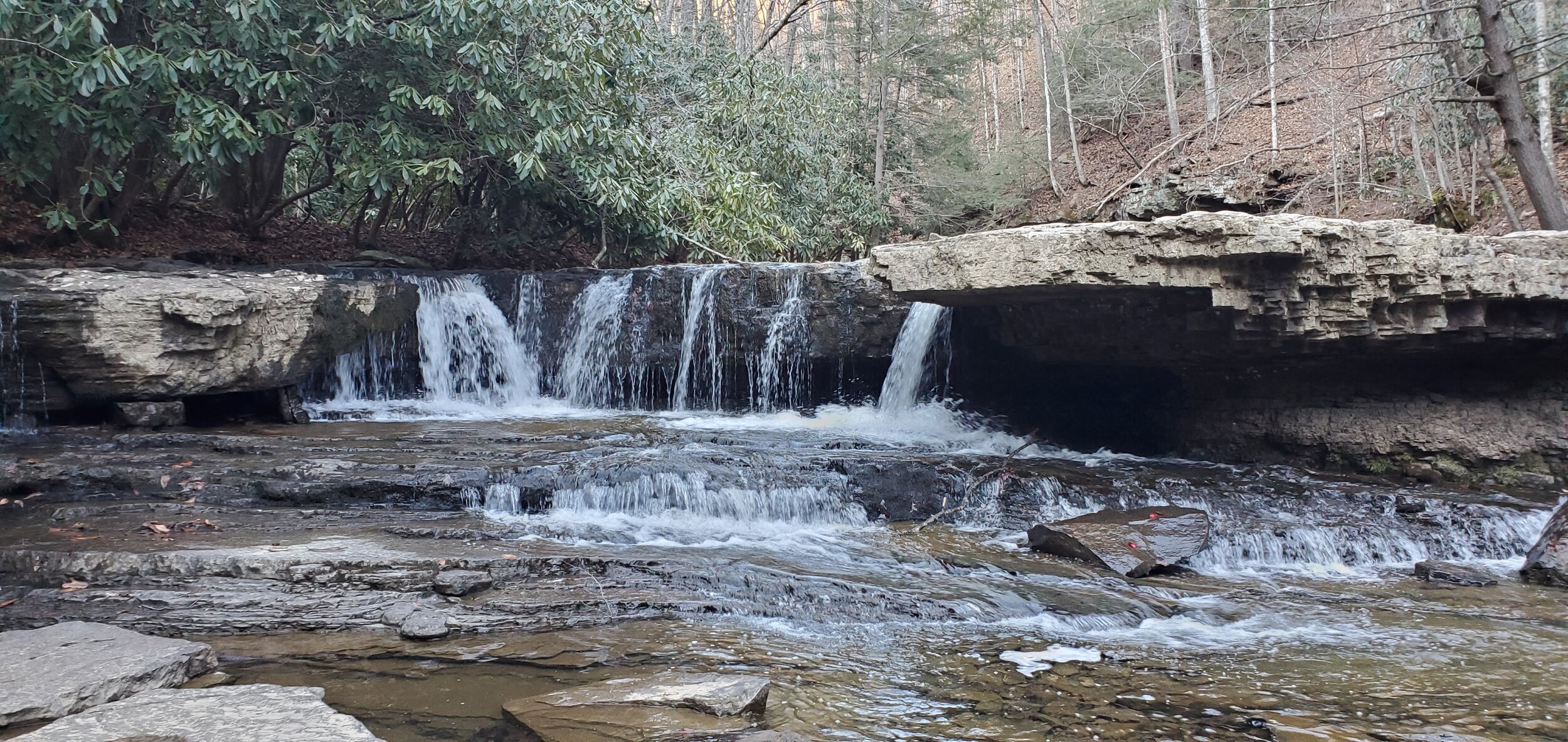 20201128_151944.jpg