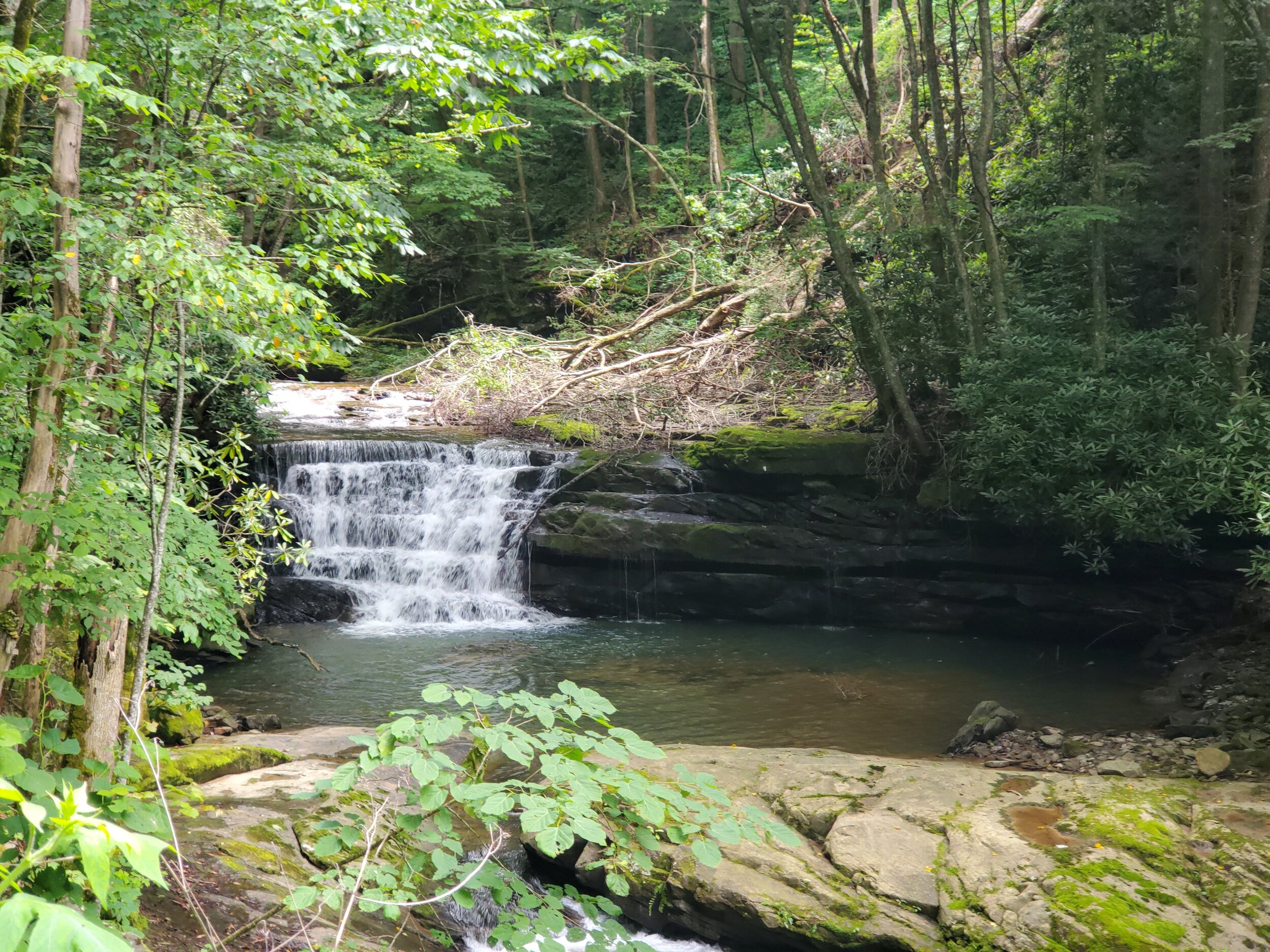 20200627_142706.jpg