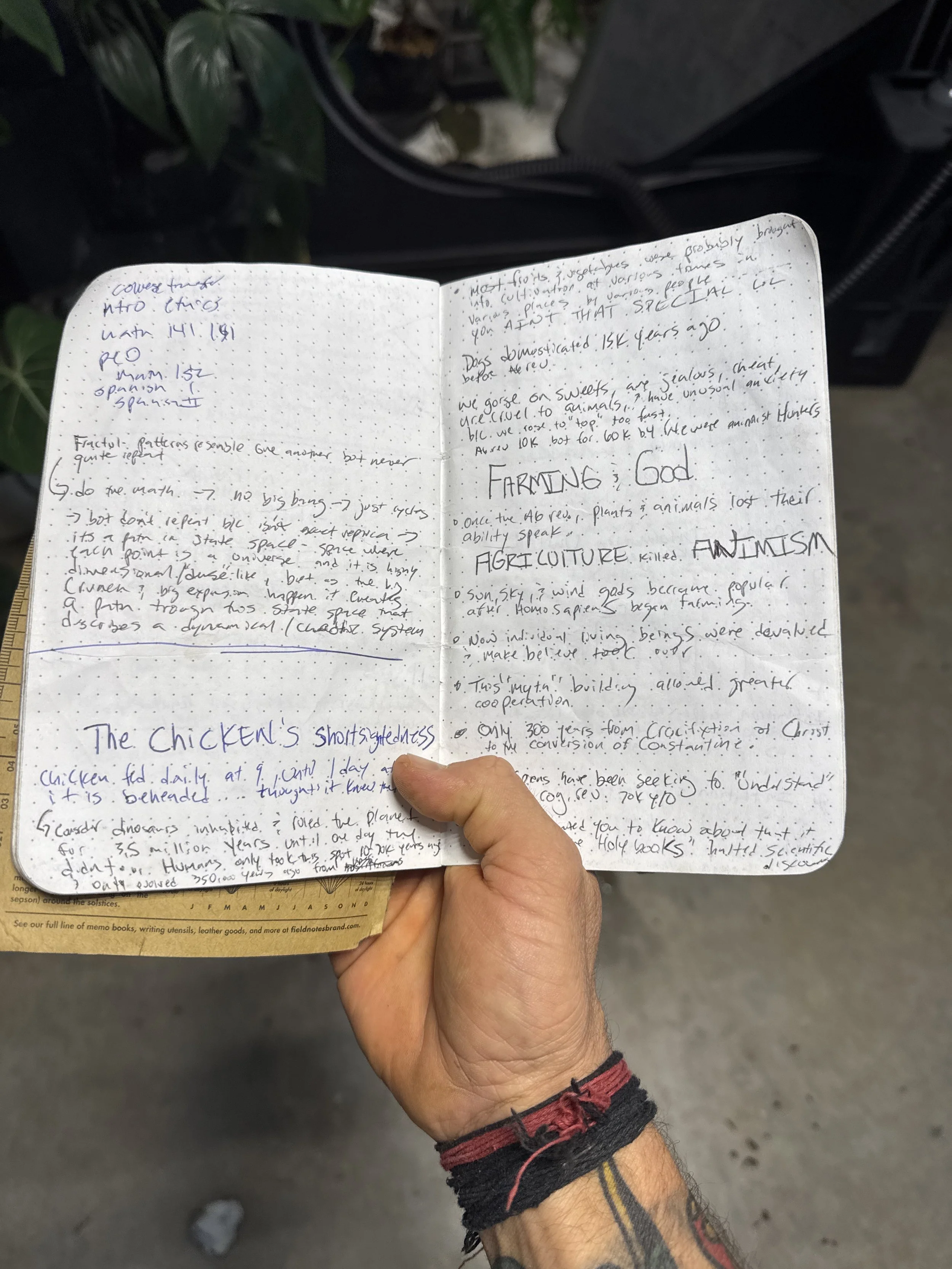 A Nicely Manicured and Domesticated End to Animism