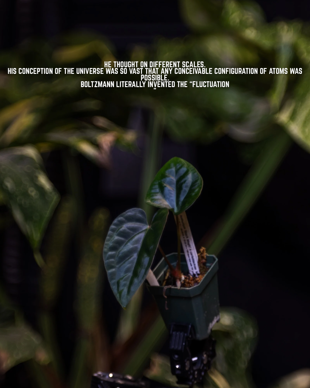 Fluctuations fluctuate