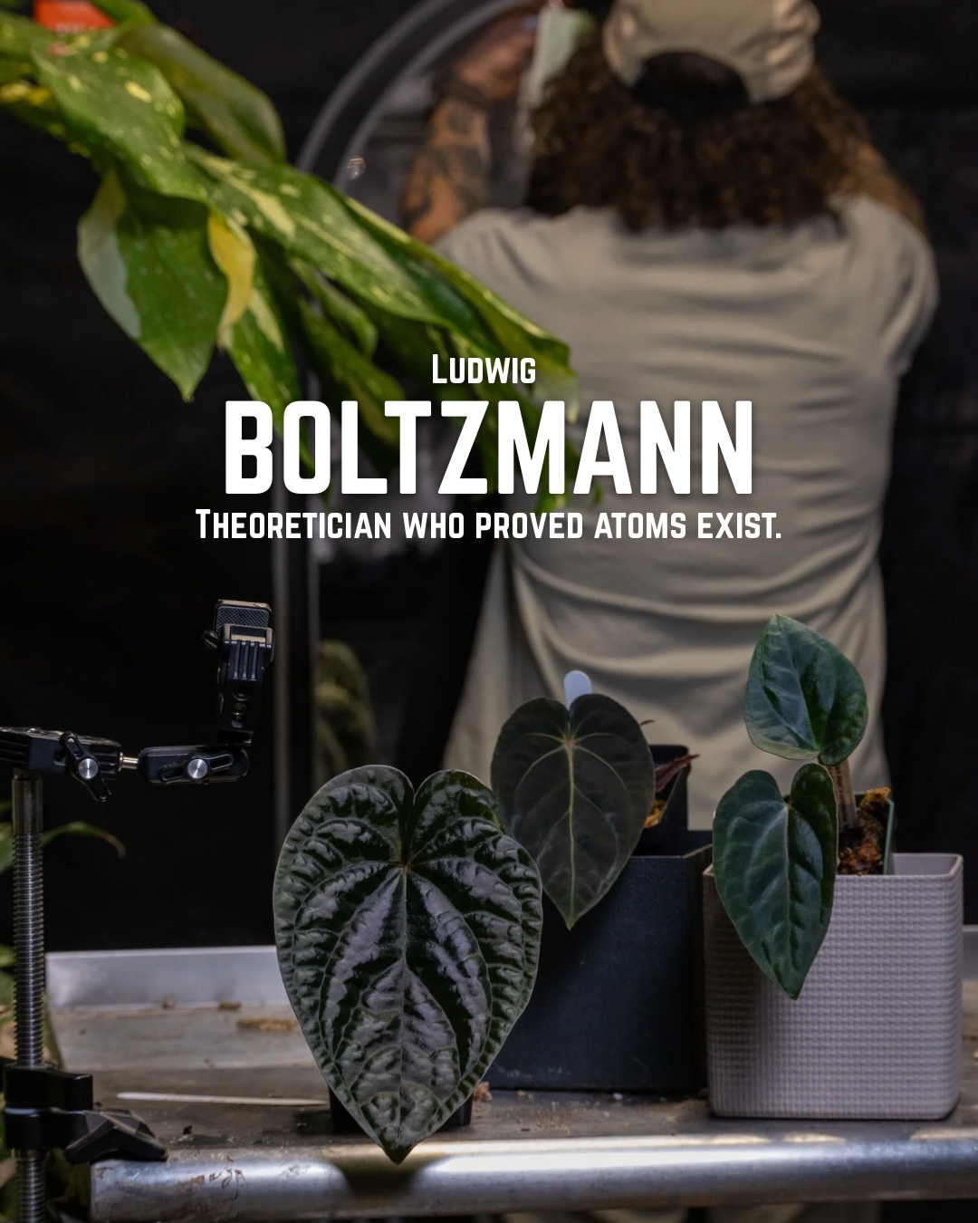 Ludwig Boltzmann