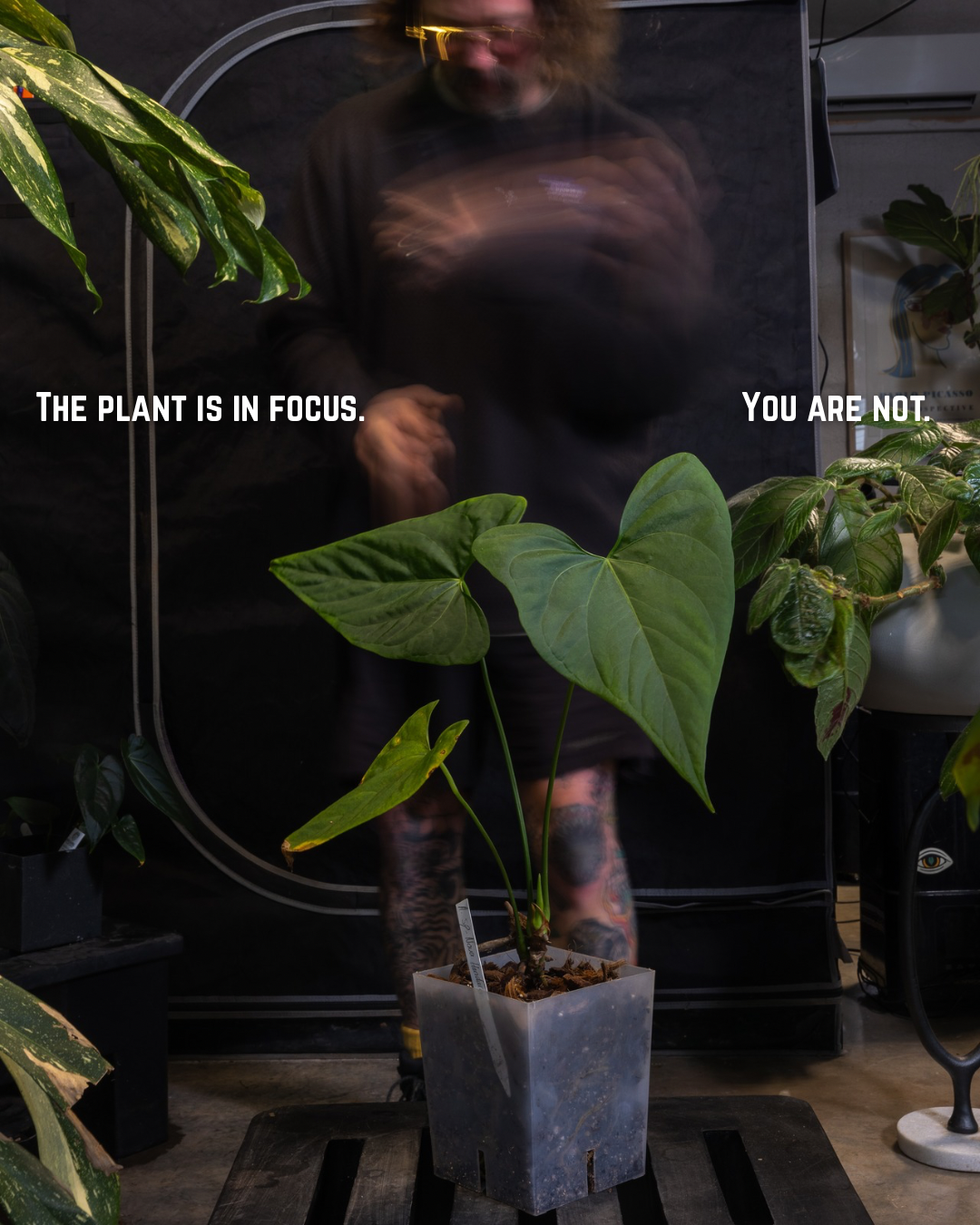  Time Runs Differently in a Garden — And We Used to Know That