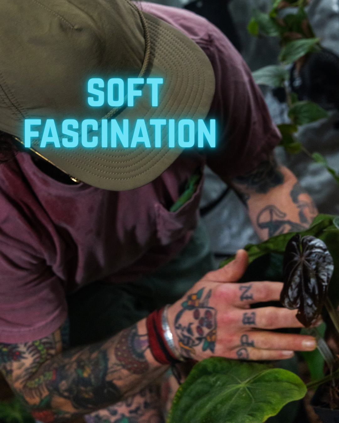 What Mother Nature Knew—
the Grow Tent Fulfilled.