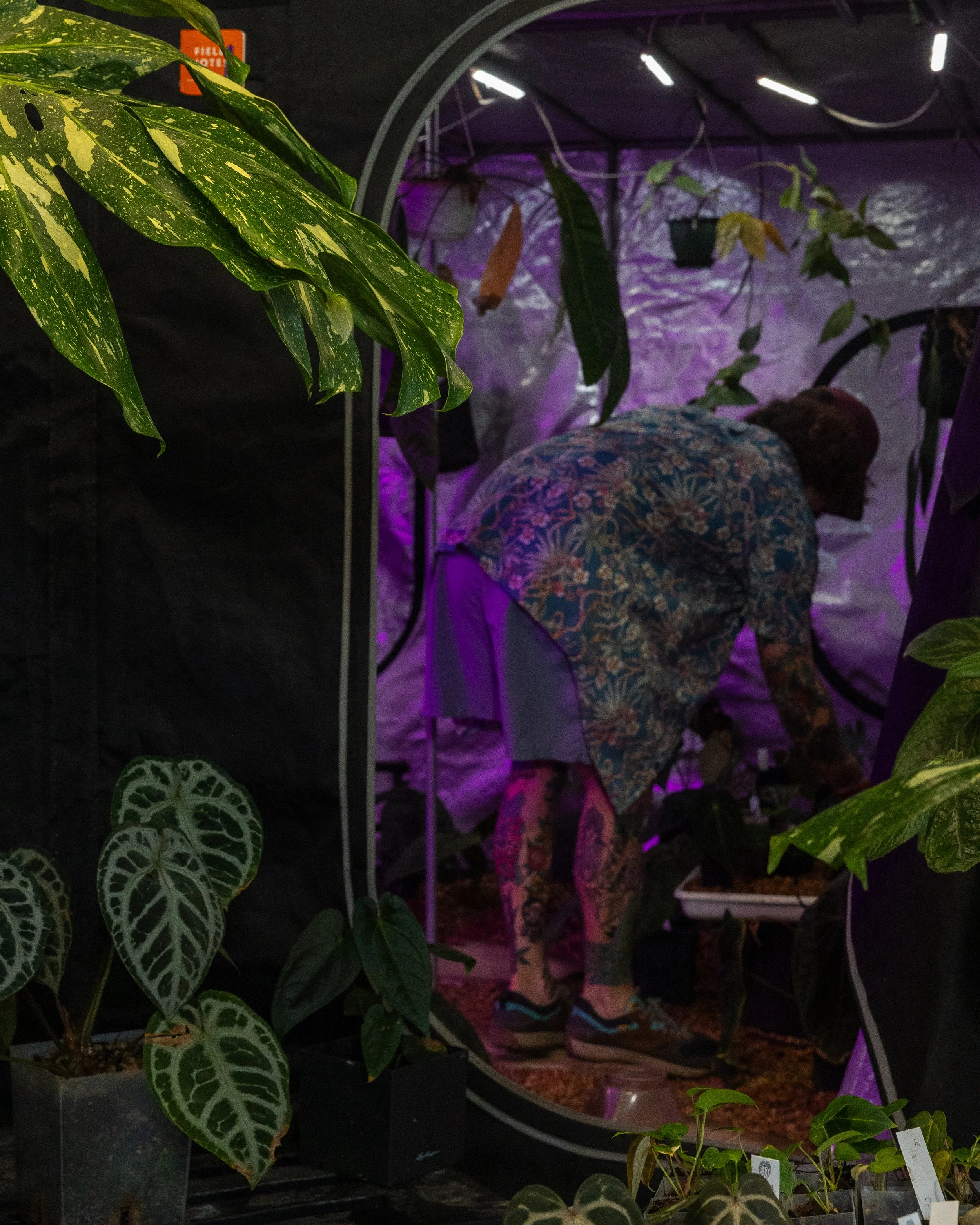 Caesar’s Best Character