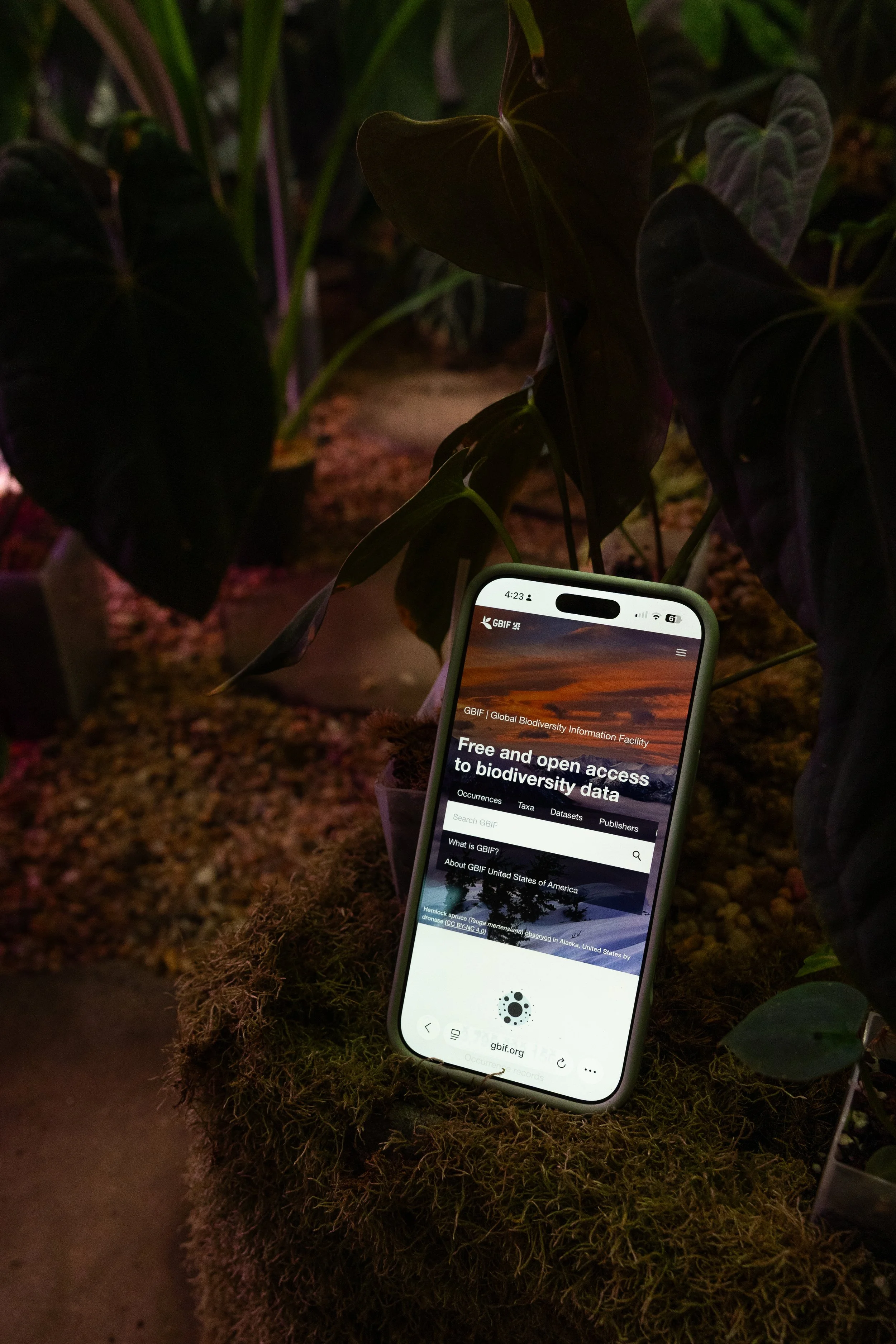 Is a Vital Biodiversity Database Going Dark?