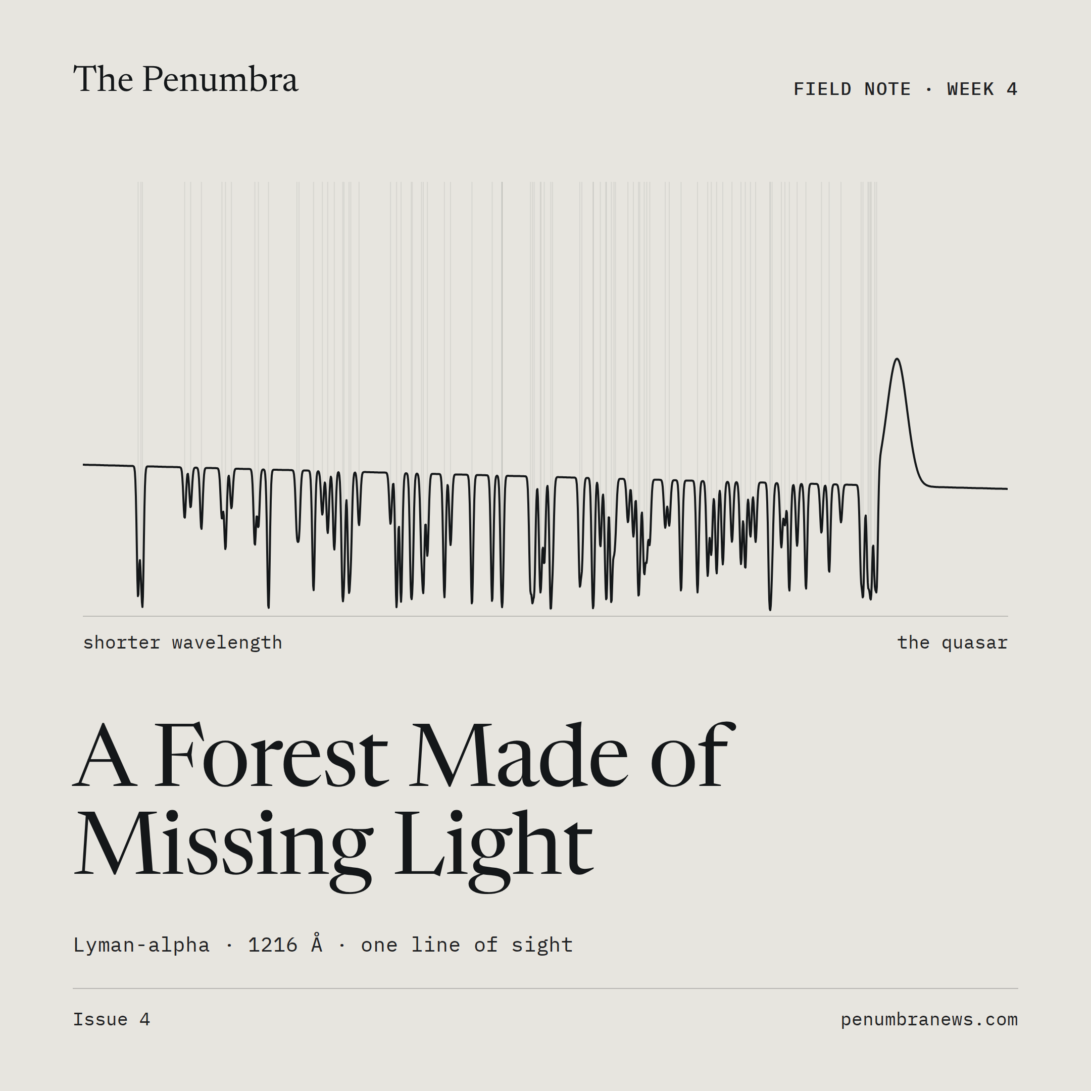 A Forest Made of Missing Light